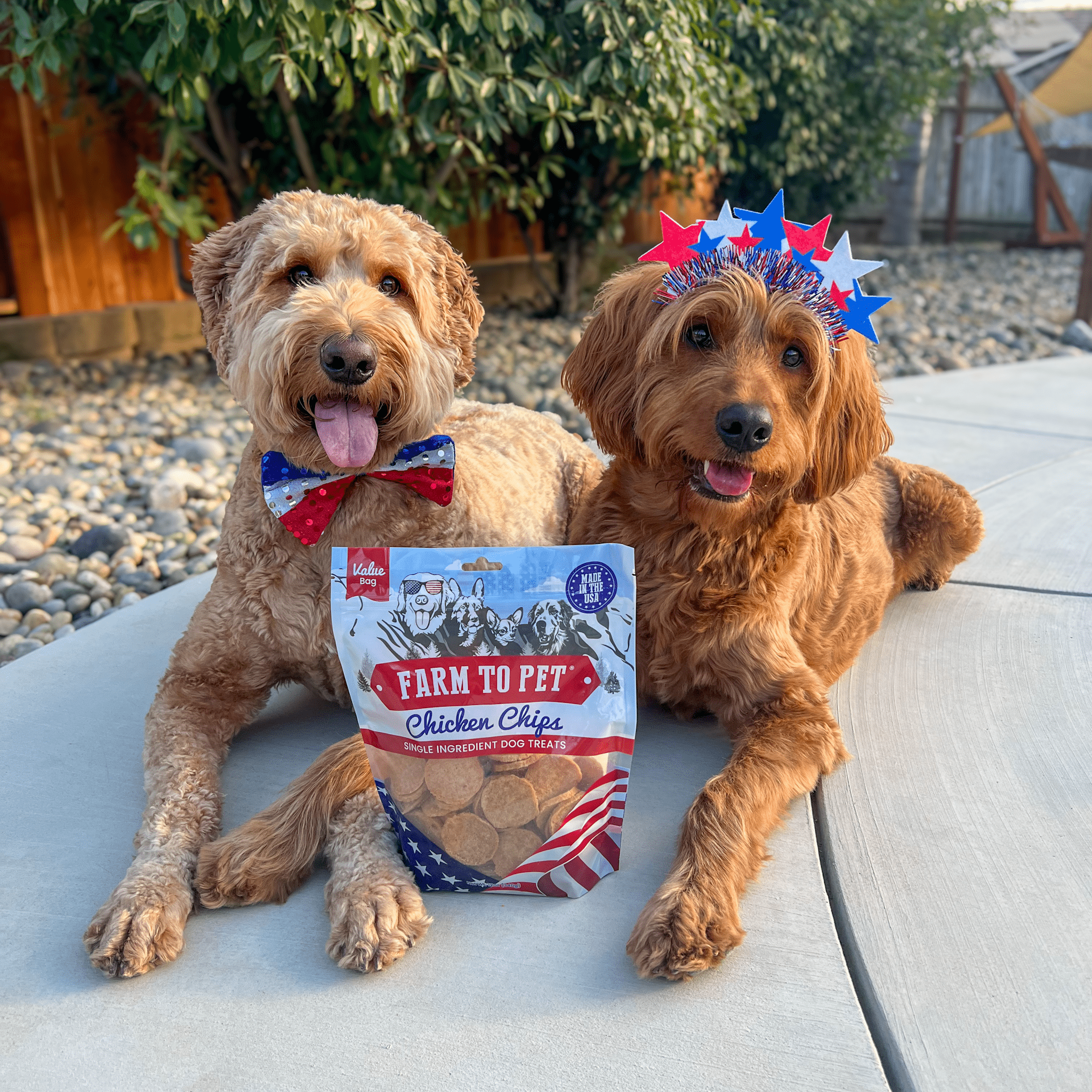 Two dogs with Farm to Pet chicken chips treat bag between them.