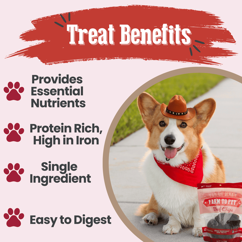 Beef chips for dogs treat benefits graphic with a dog and bag image