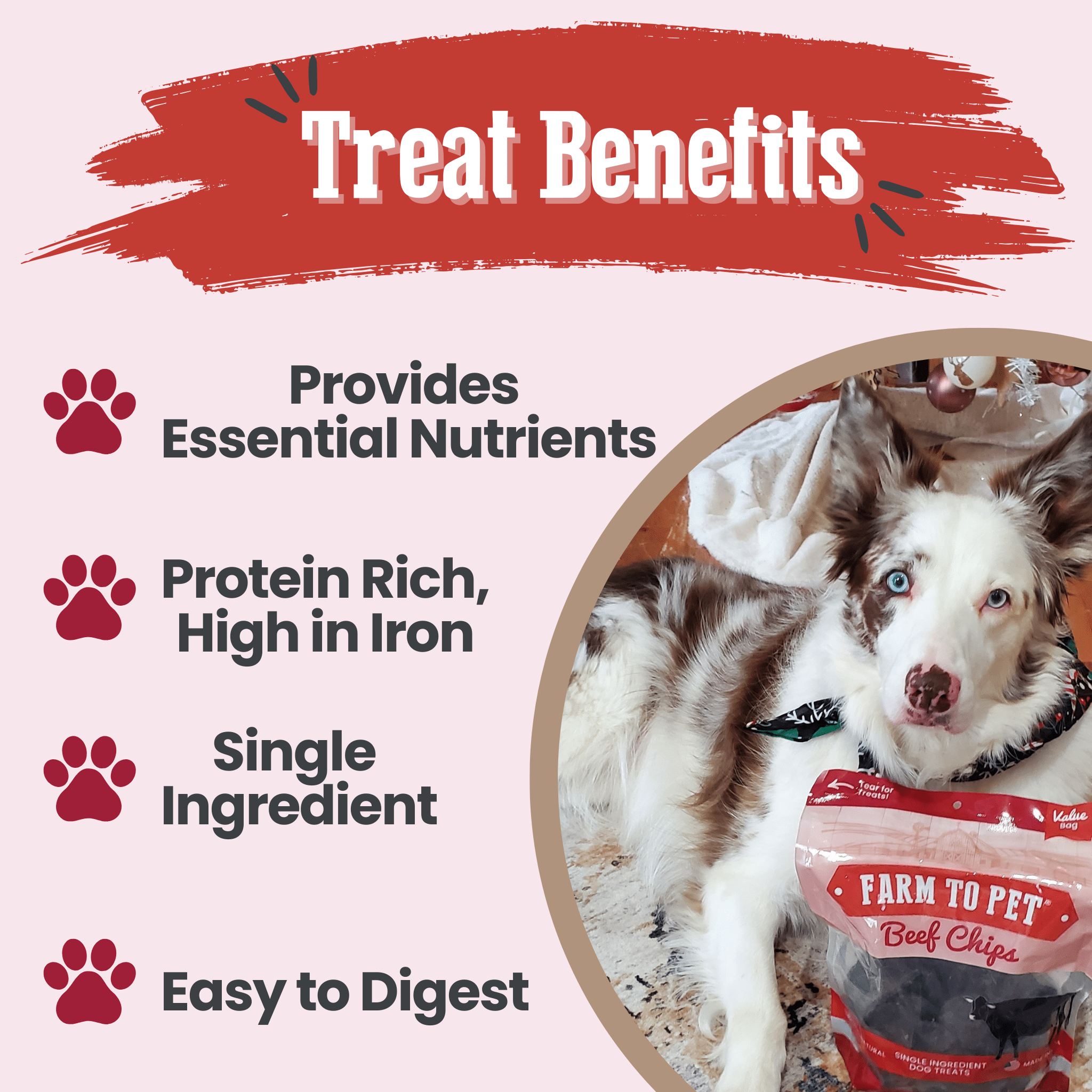 Treat benefits infographic with dog photo and labeled nutrition points