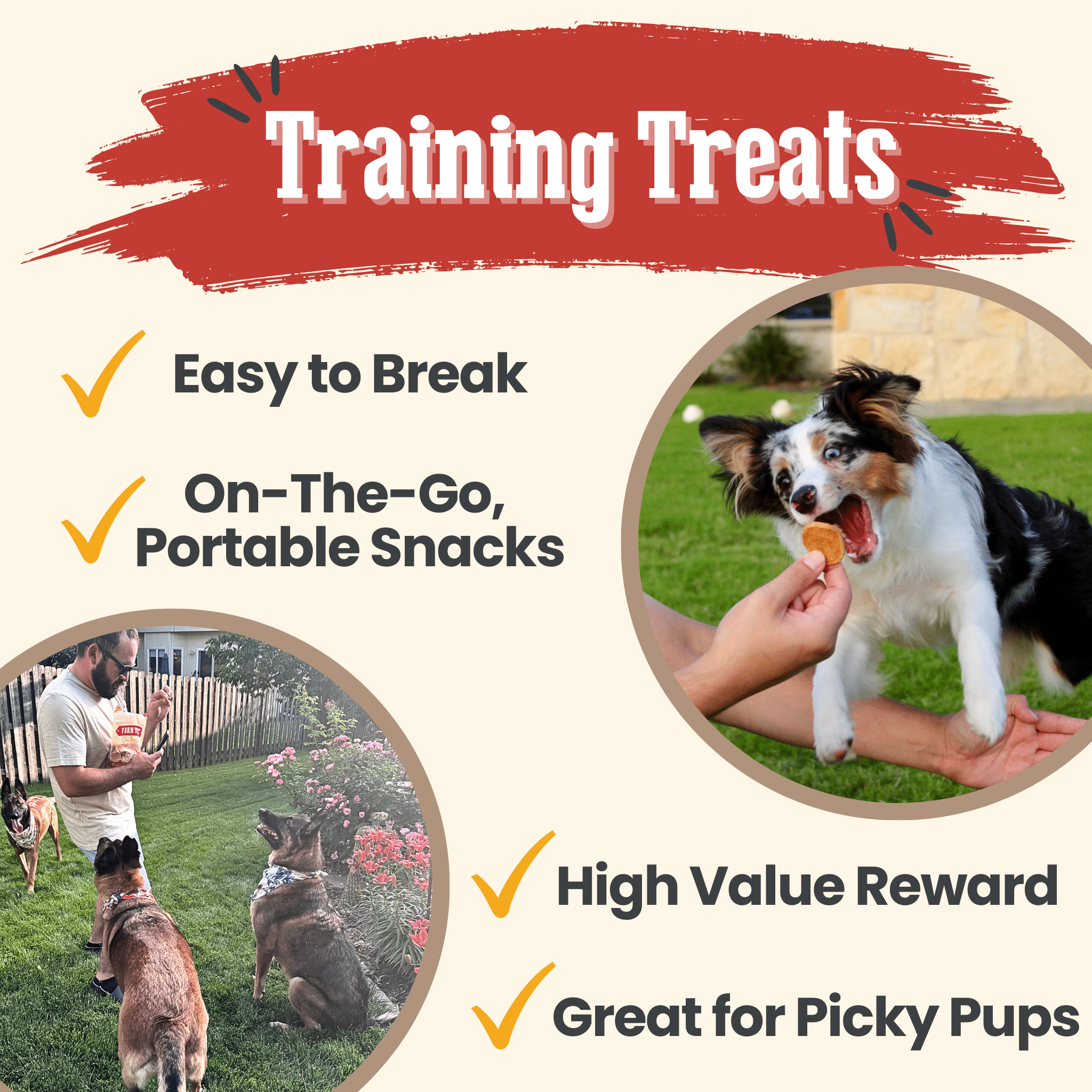 Training treats infographic for chicken chips: easy to break portable snack