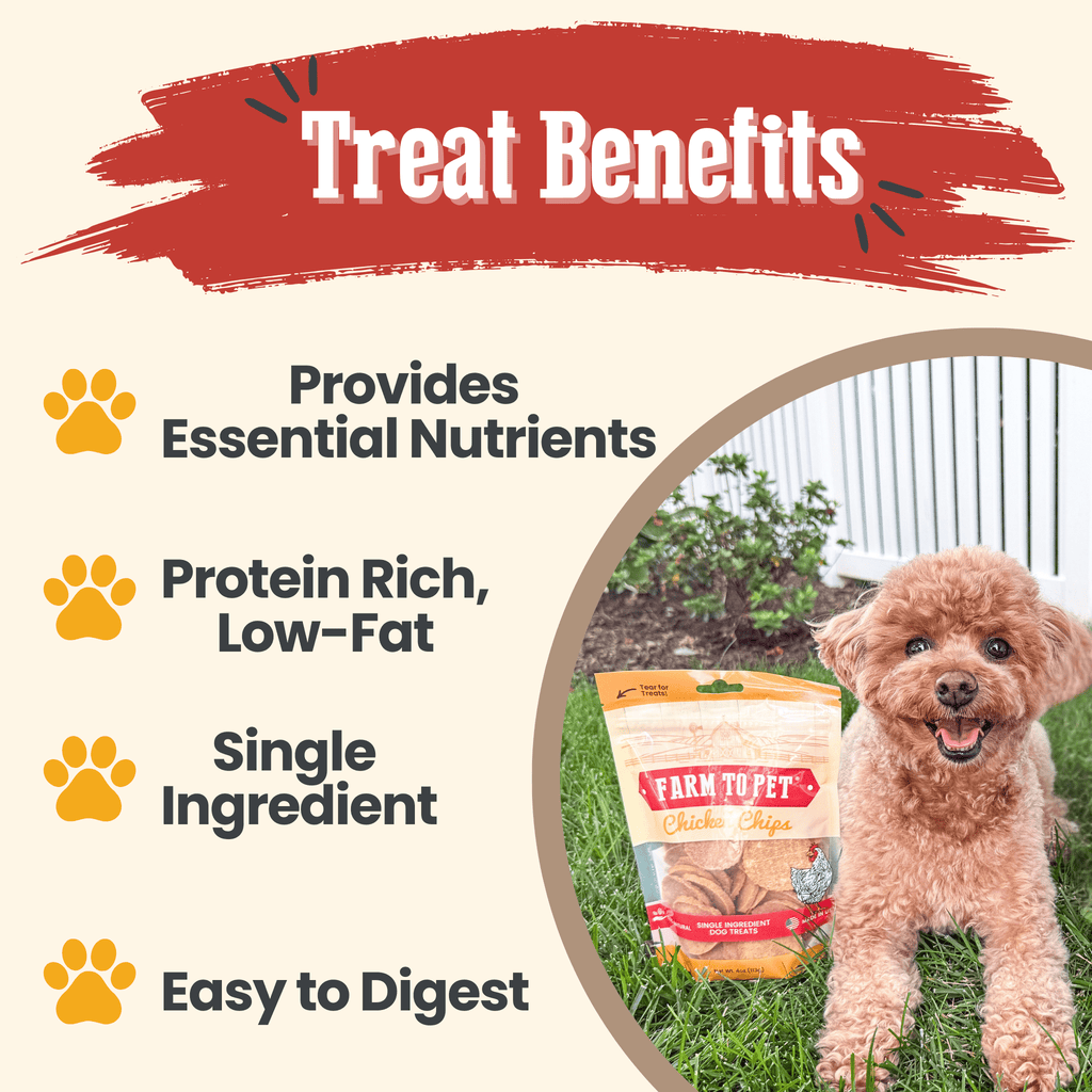 Treat benefits infographic for chicken chips: essential nutrients protein-rich low-fat