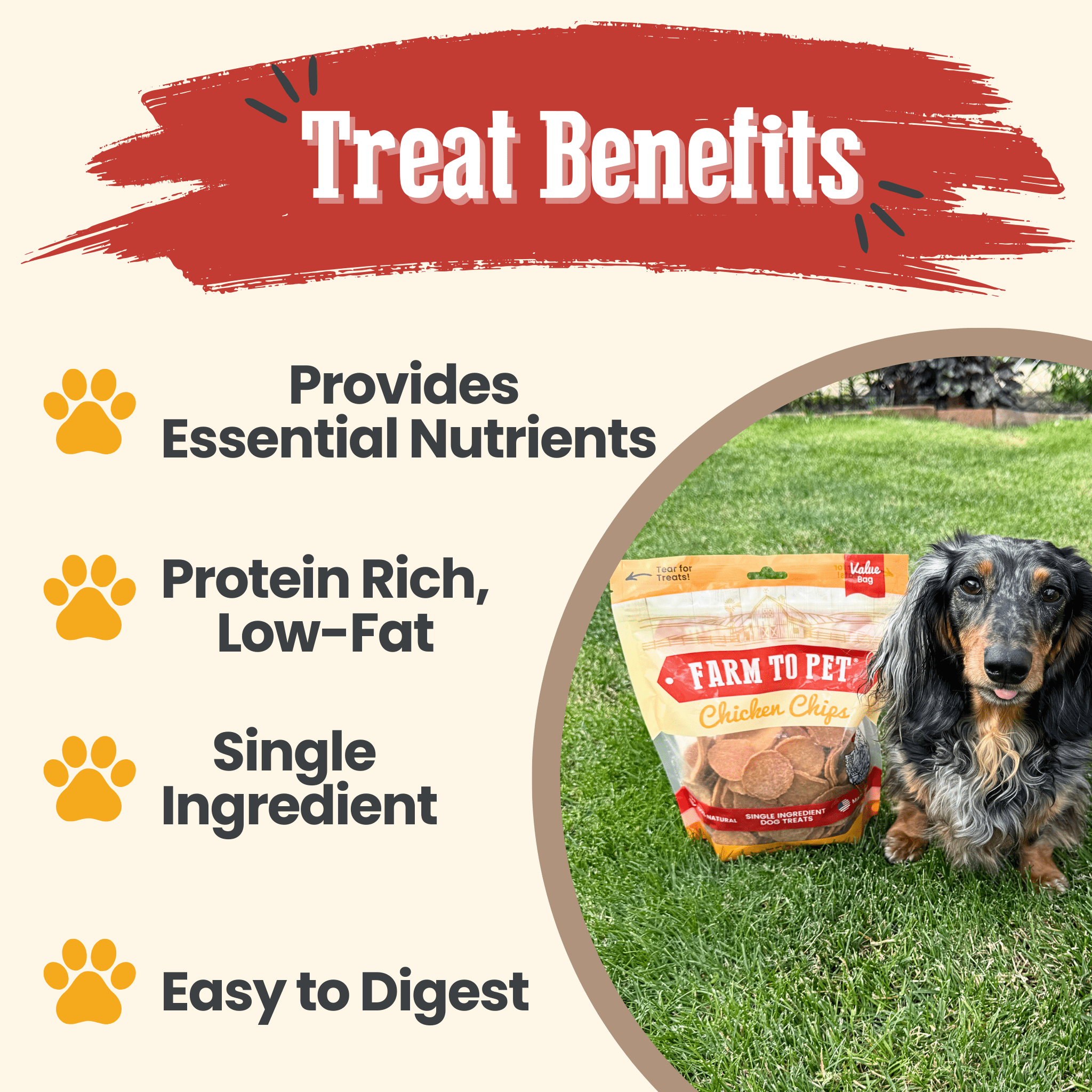 Dog treat benefits promotional graphic with nutrient icons and a treat bag on grass.