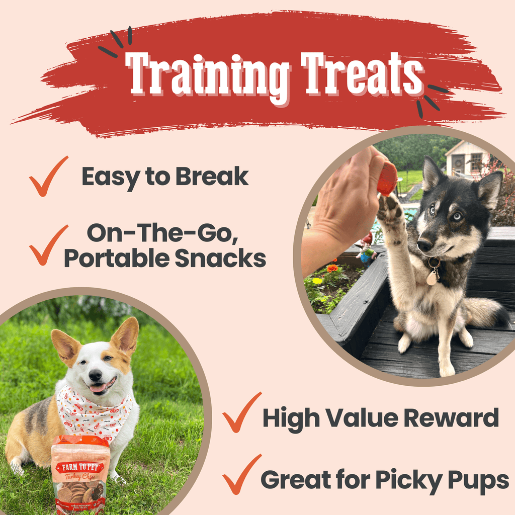 Turkey chip dog treat bag shown with portable treat slices in a circular layout