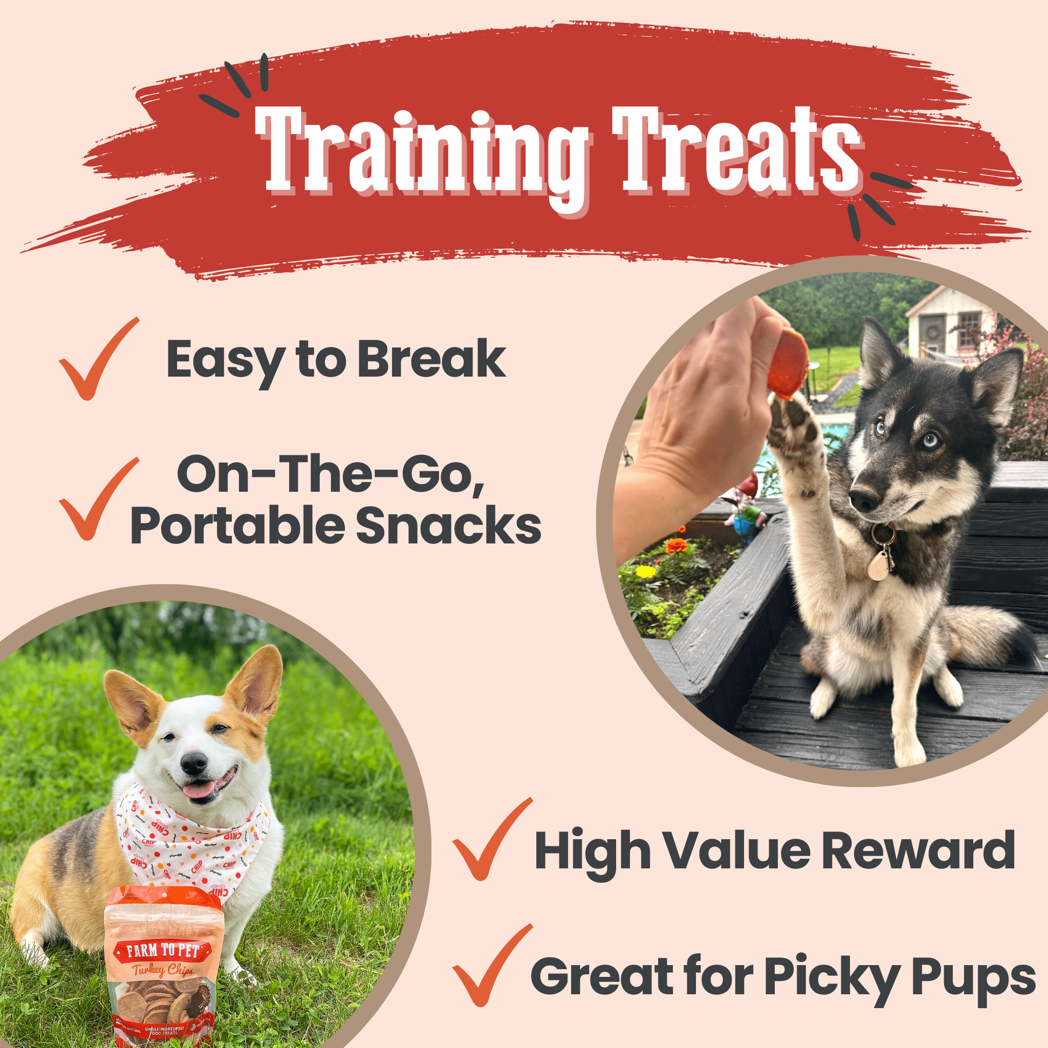 Turkey chip dog treat bag shown with portable treat slices in a circular layout