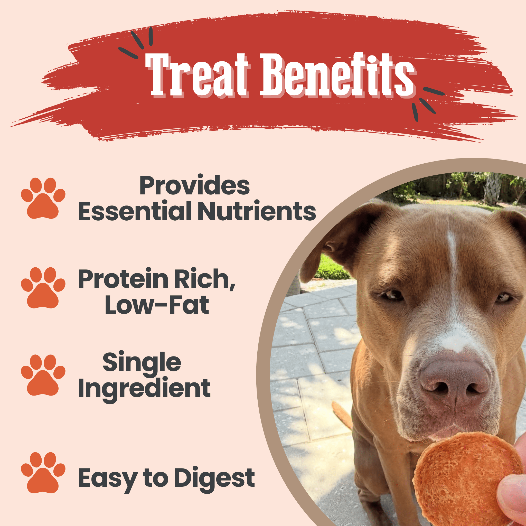 Turkey chip dog treat bag with a dog sniffing a single turkey chip