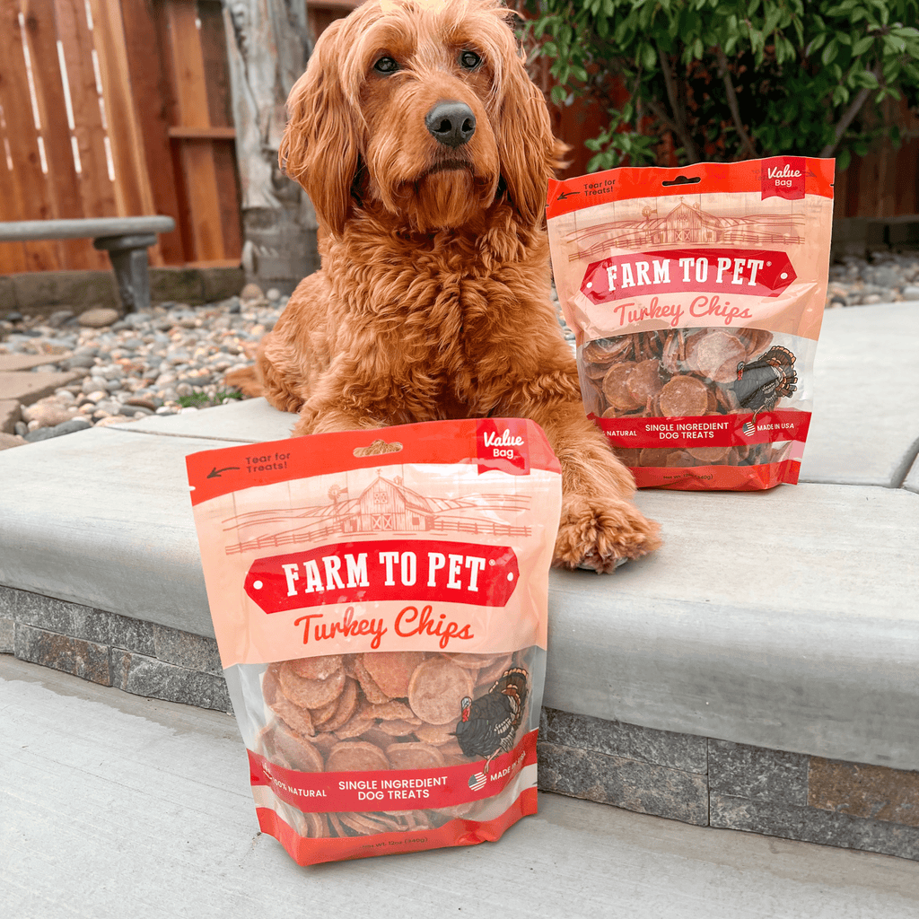 Turkey dog treat chips, two Farm to Pet bags with small dog kneeling beside them