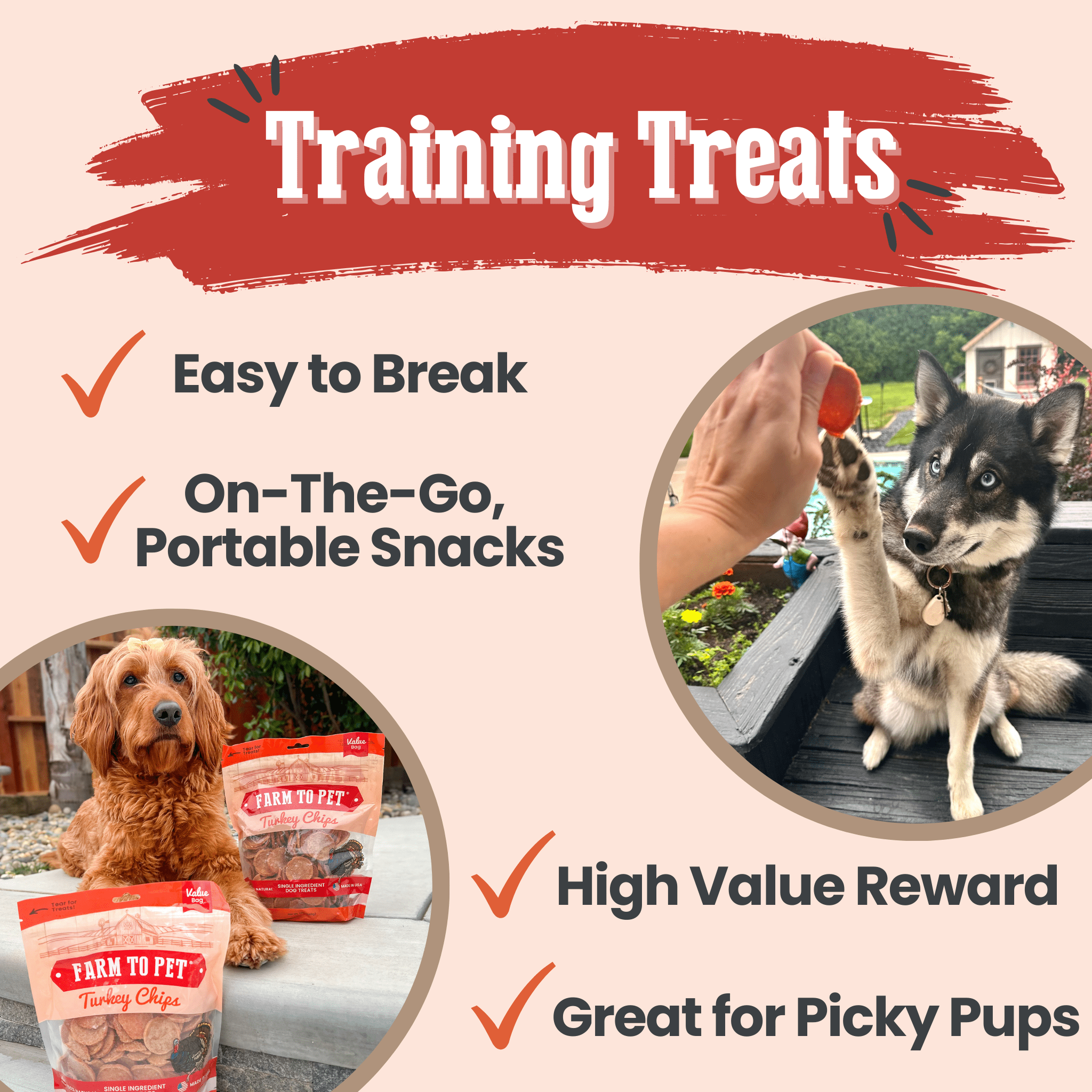 Training treats infographic with turkey chip snack bags and dog photos