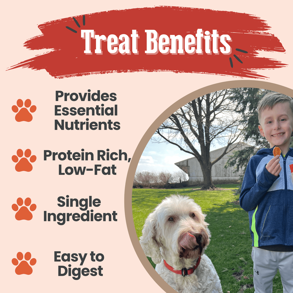 Treat benefits infographic showing turkey chip dog treats with boy and dog