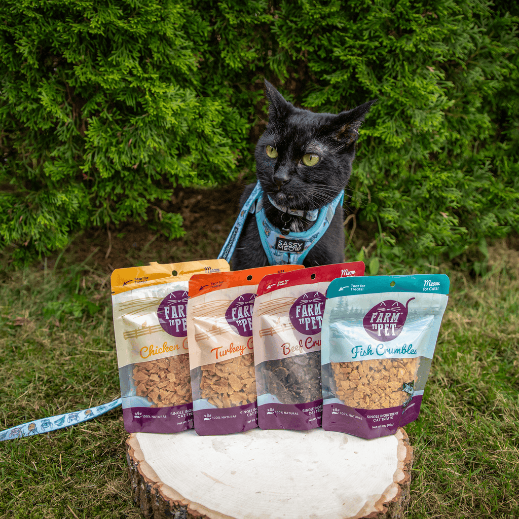 Cat fish crumbles treat pouches, multi-pack of purple bags with a black cat nearby