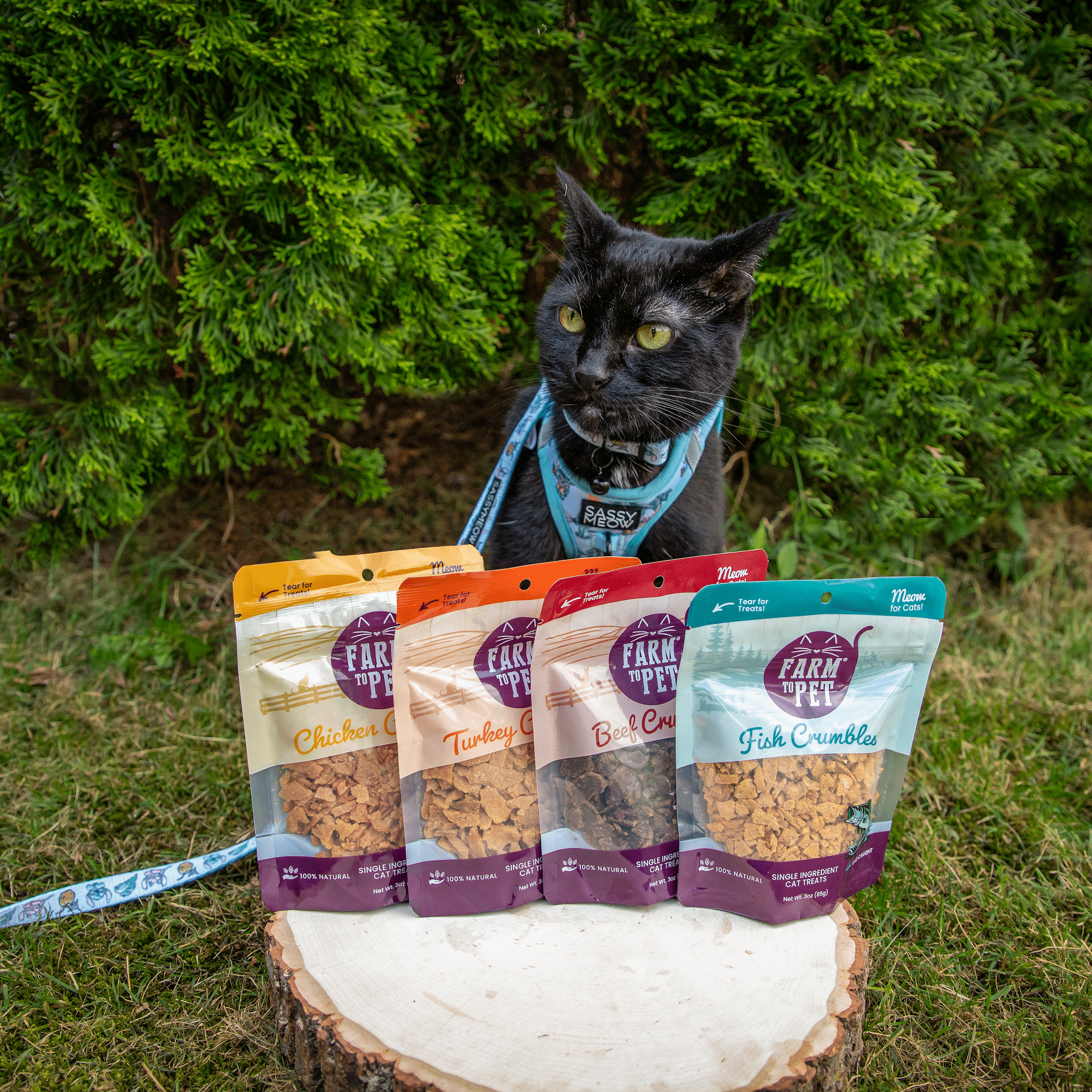 Cat fish crumbles treat pouches, multi-pack of purple bags with a black cat nearby