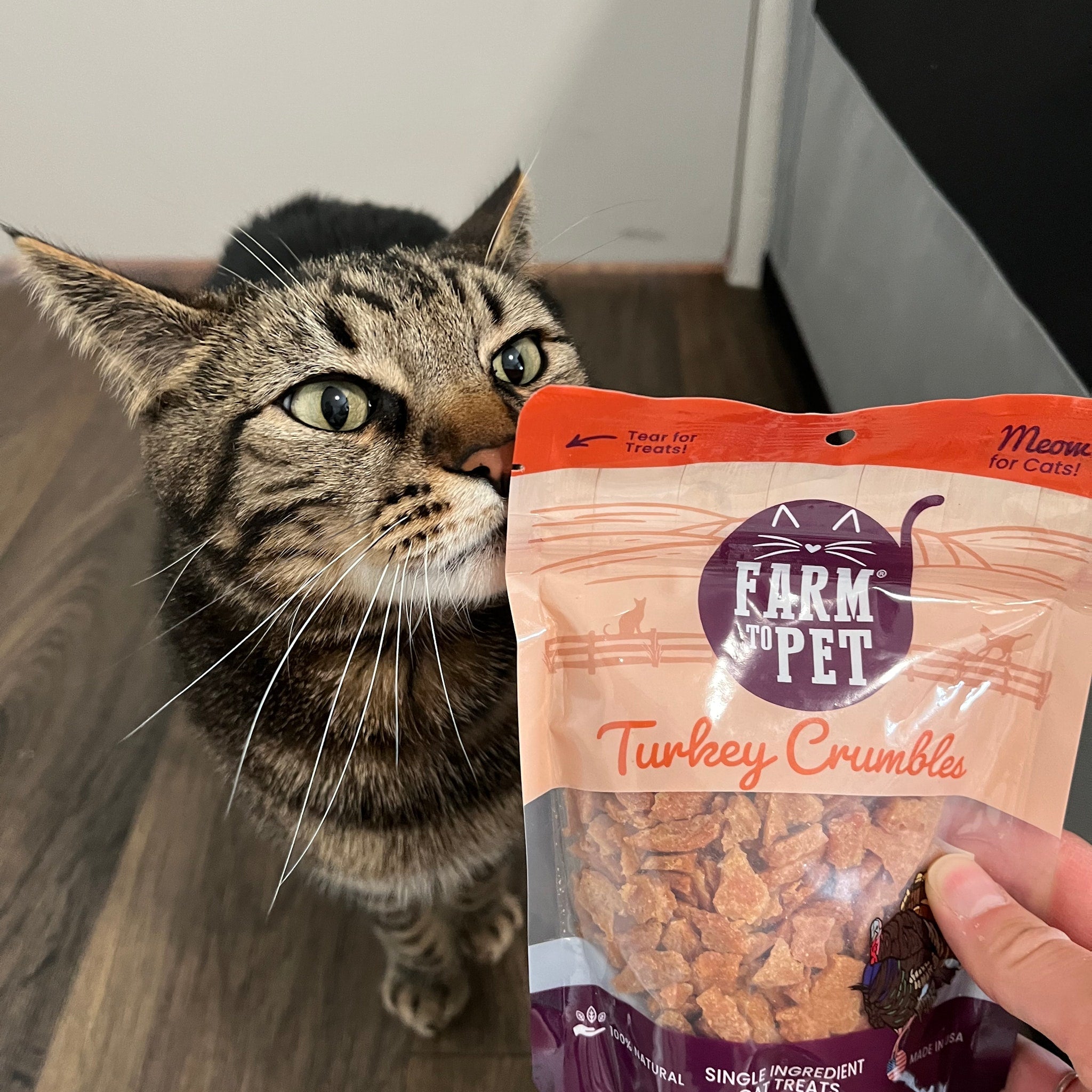 Turkey crumbles cat treat pouch held near a tabby cat
