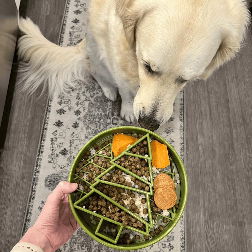 Green slow feeder dog bowl held by hand with kibble and treat pieces