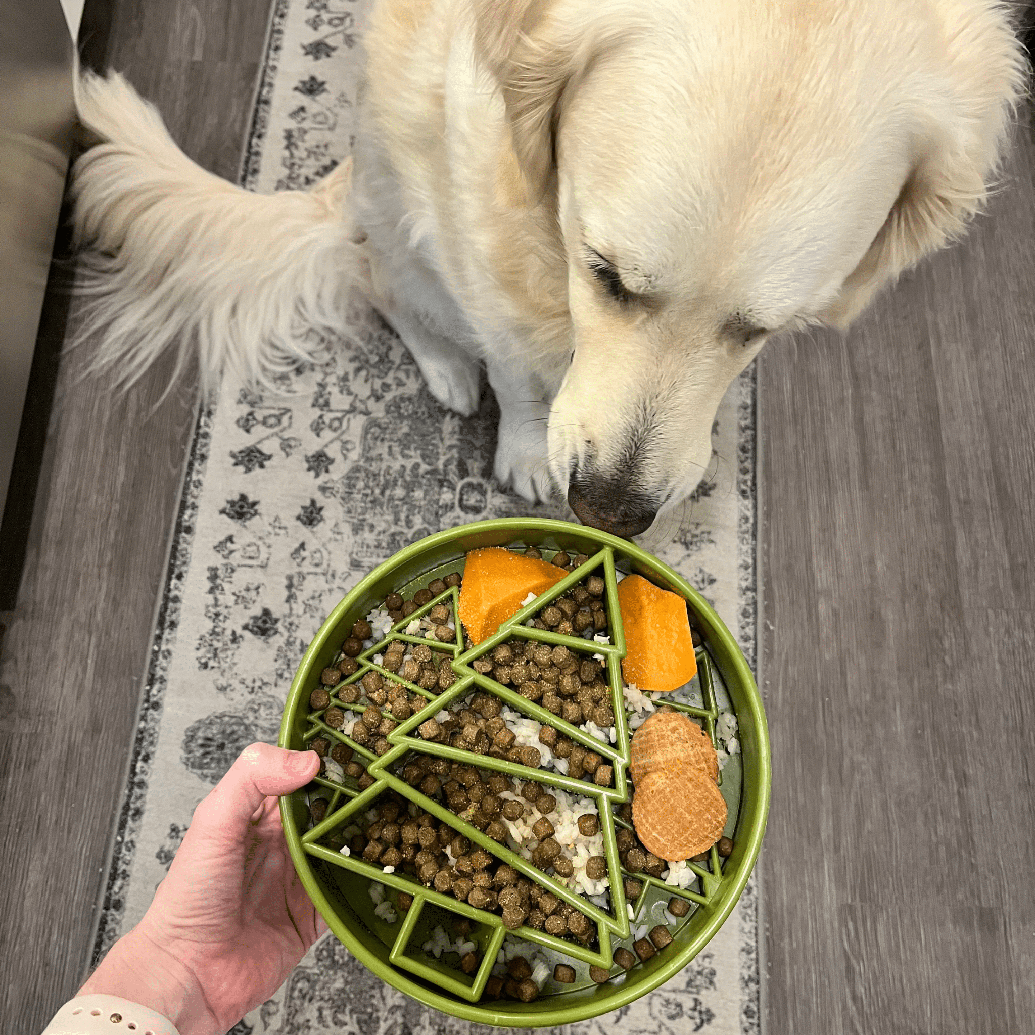 Green slow feeder dog bowl held by hand with kibble and treat pieces