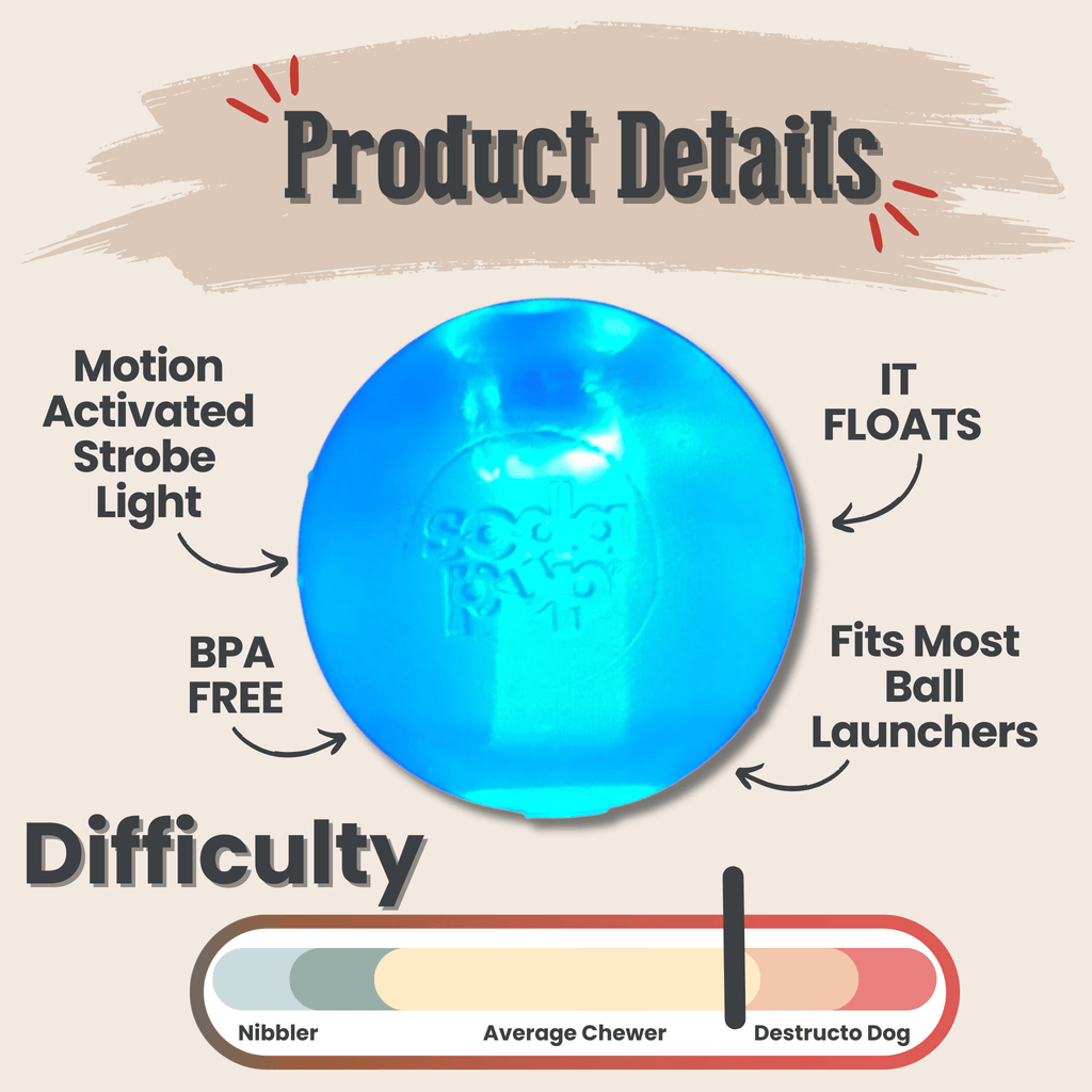 Translucent blue dog fetch ball