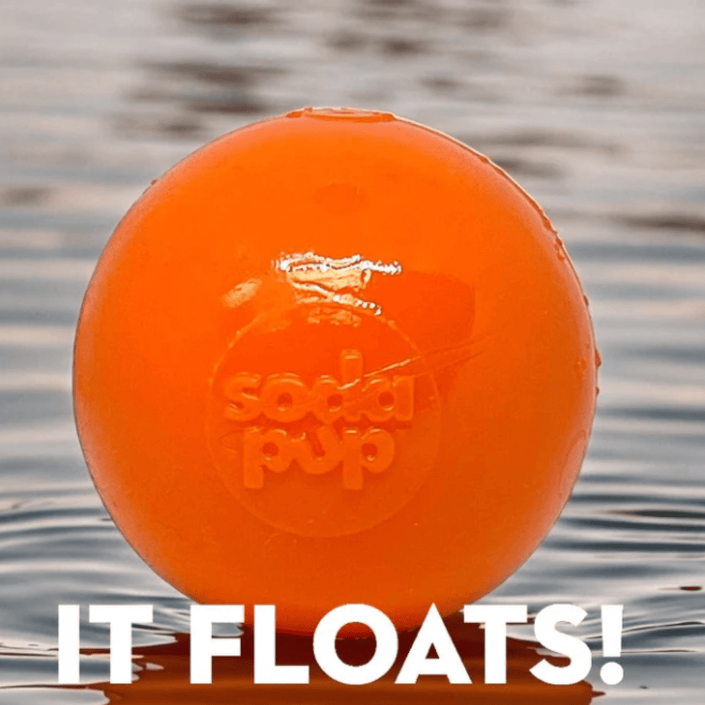 Translucent orange dog fetch ball close-up