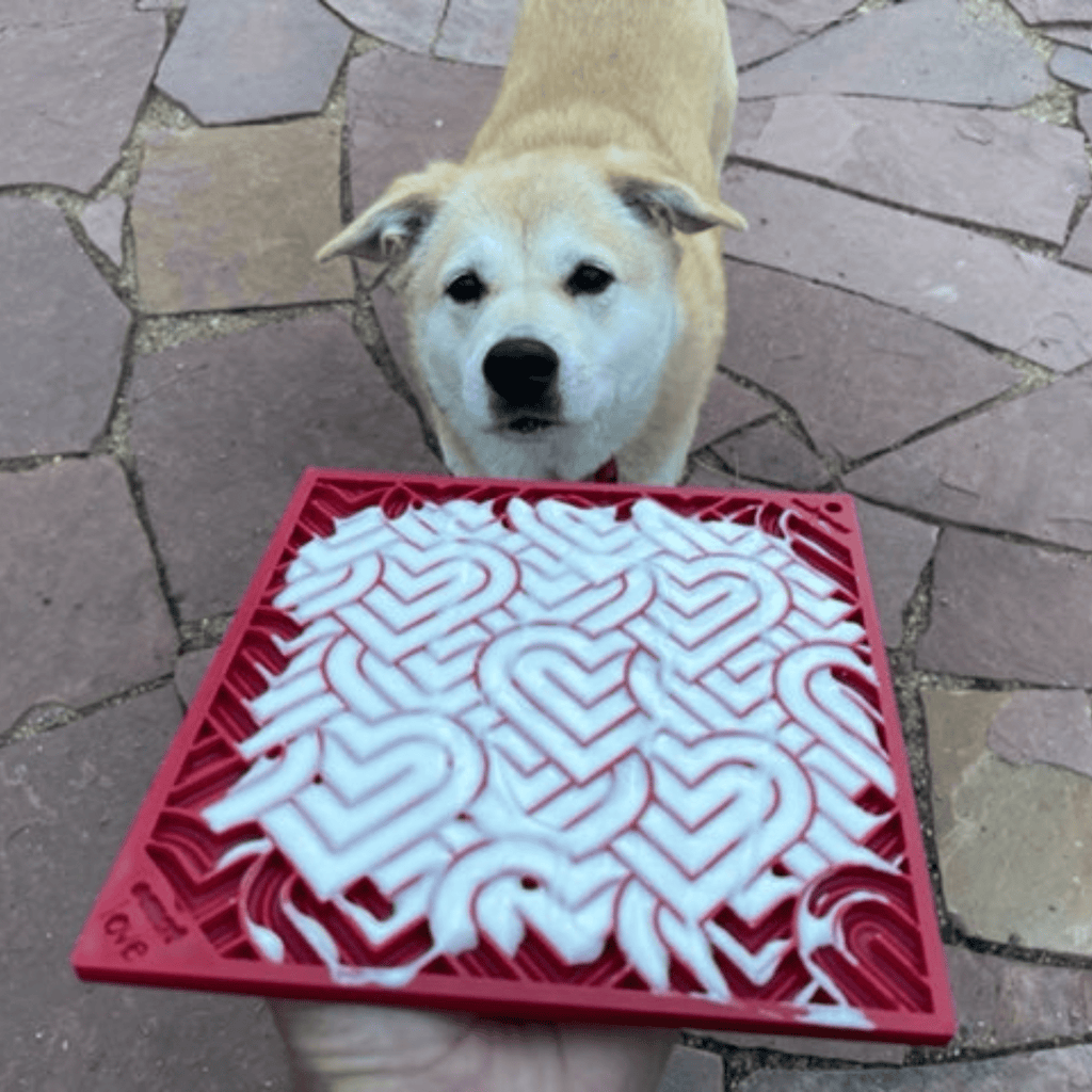 Red dog lick mat with white heart maze pattern under a dog for licking