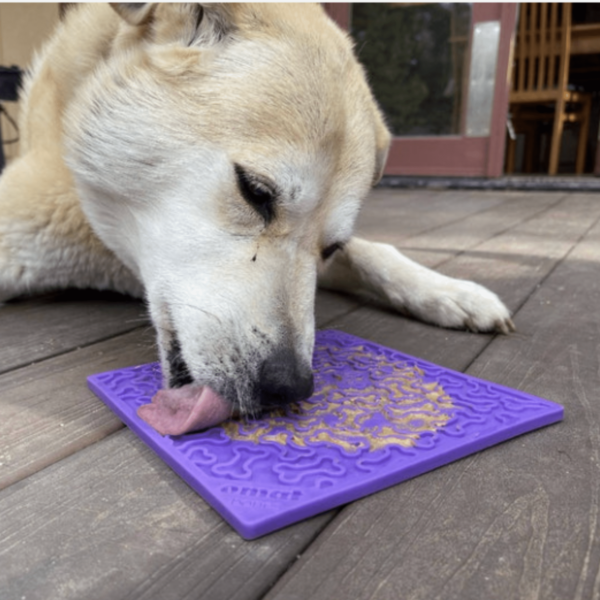 Purple dog lick mat on patio boards with raised bone grooves while a dog licks.