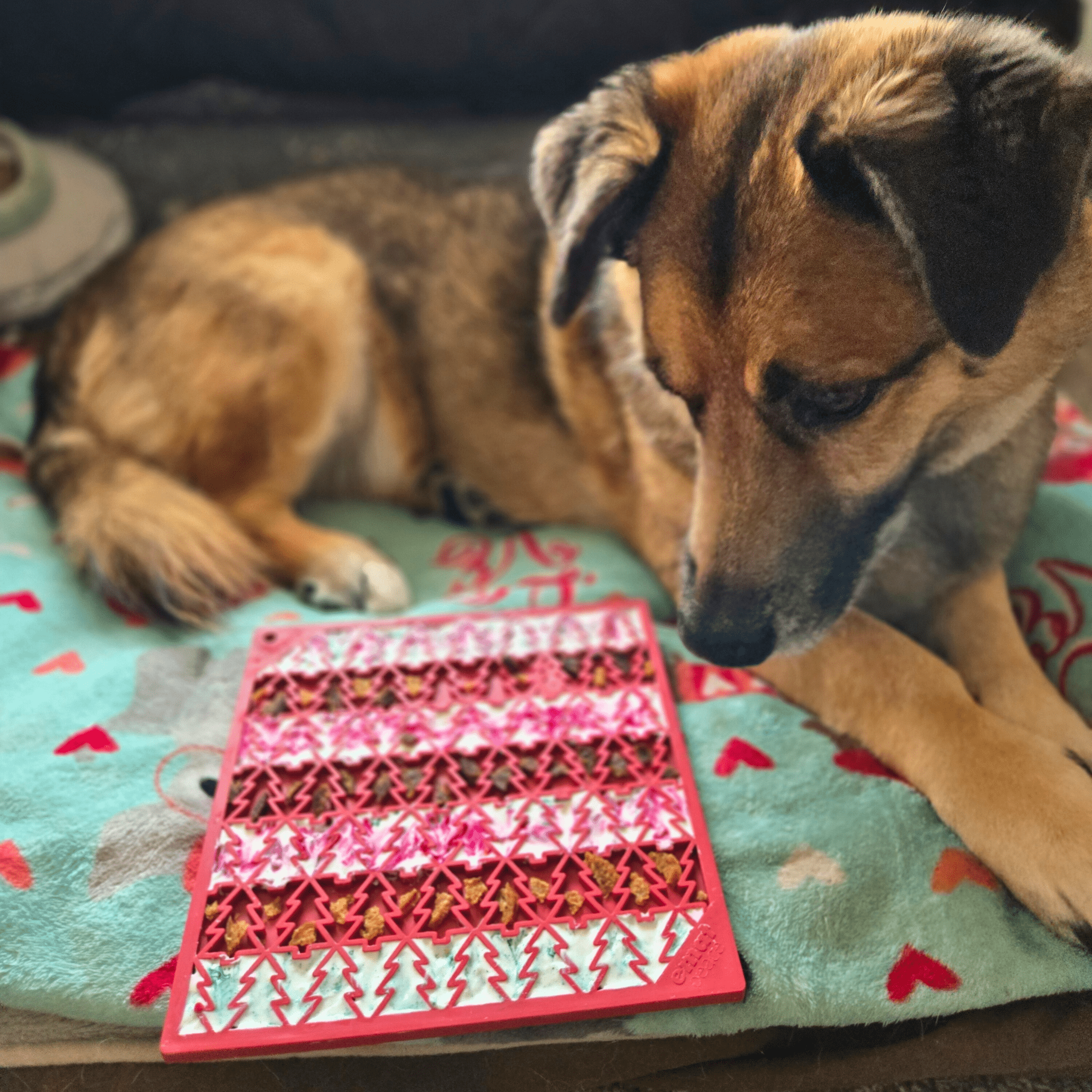 Red silicone lick mat with raised tree pattern on bed, dog licking