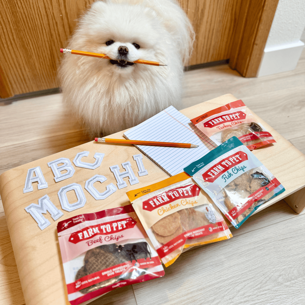White dog with Farm to Pet treat pouches on a wooden floor