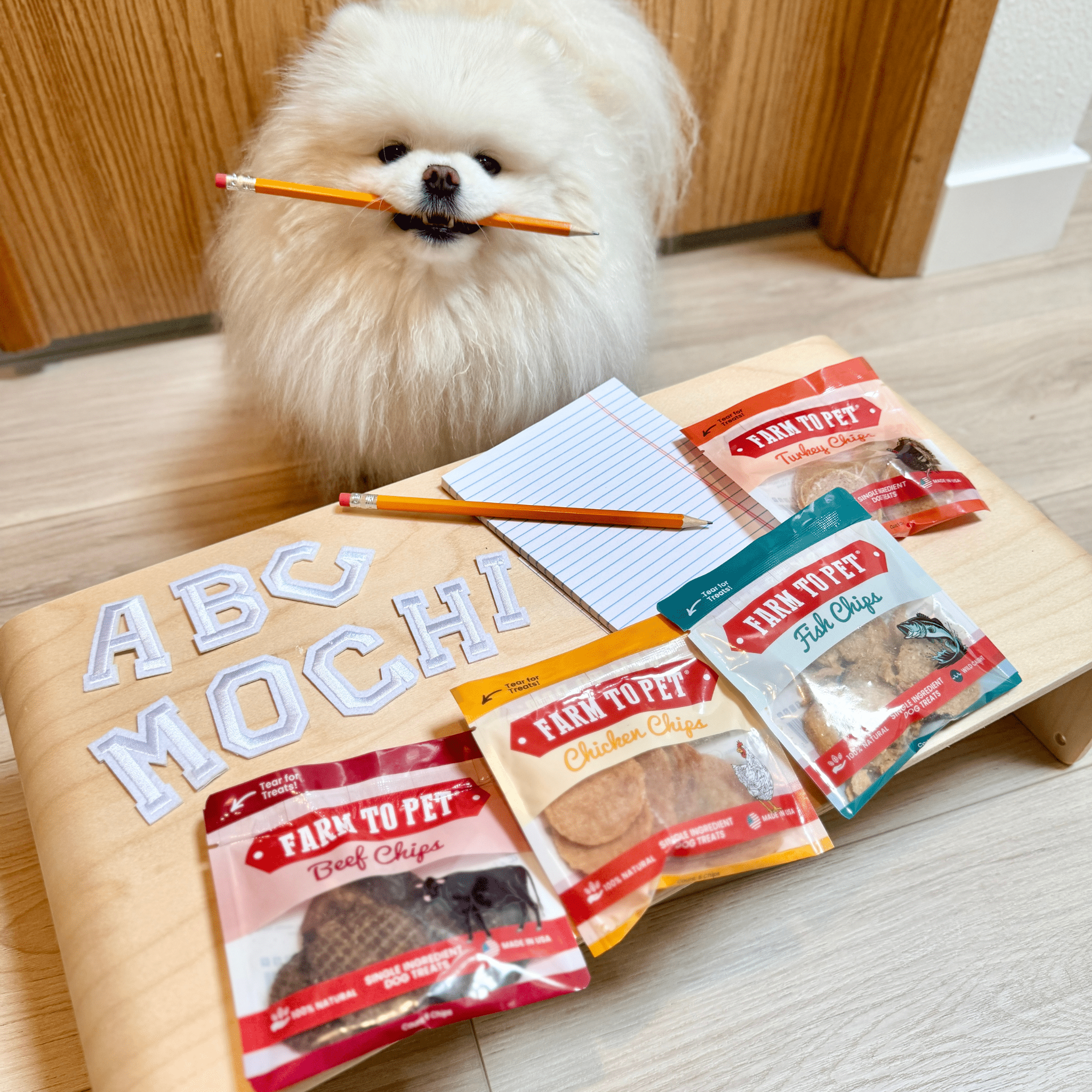 White dog with Farm to Pet treat pouches on a wooden floor