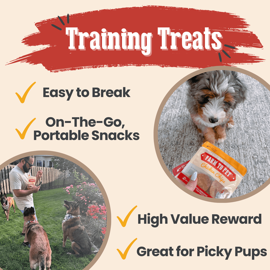 Dog training treats infographic with small dog and treat bag