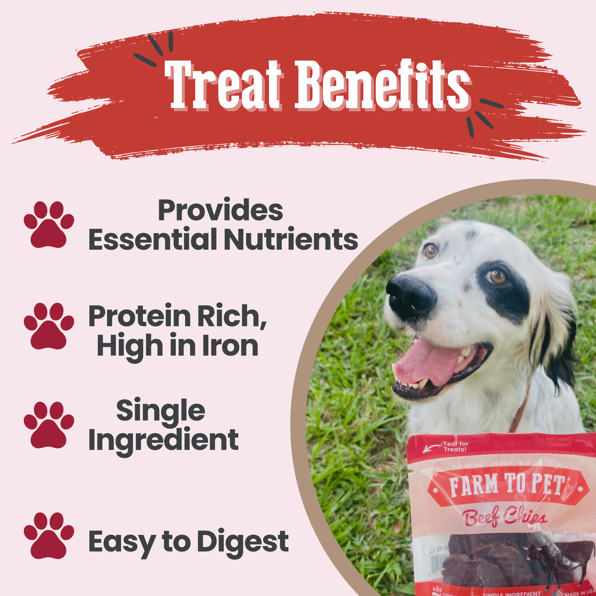 Dog beside Farm to Pet Beef Chips pouch with benefit icons
