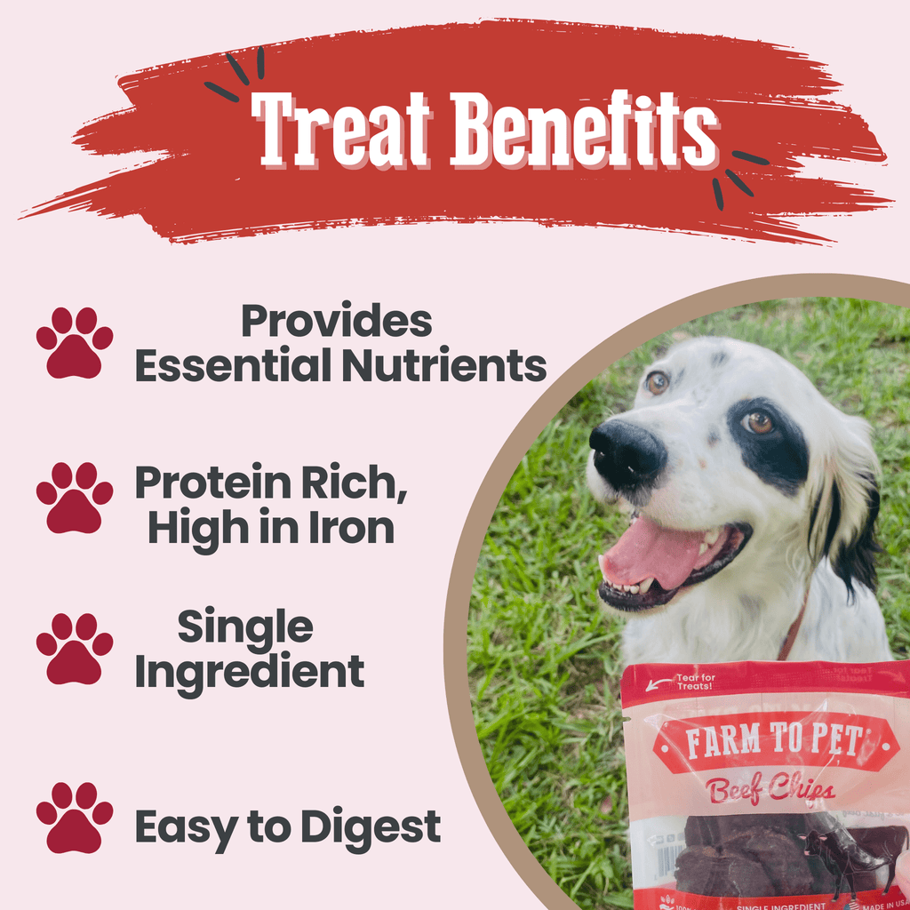Beef chips snack pack infographic with dog and Farm to Pet Beef Chips bag