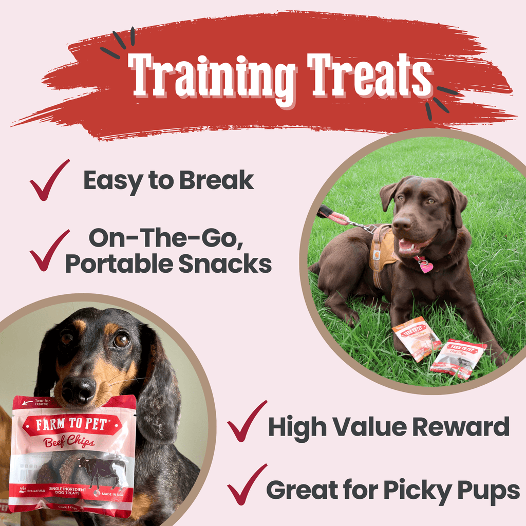 Beef chips snack pack training treats graphic with dog and small bag