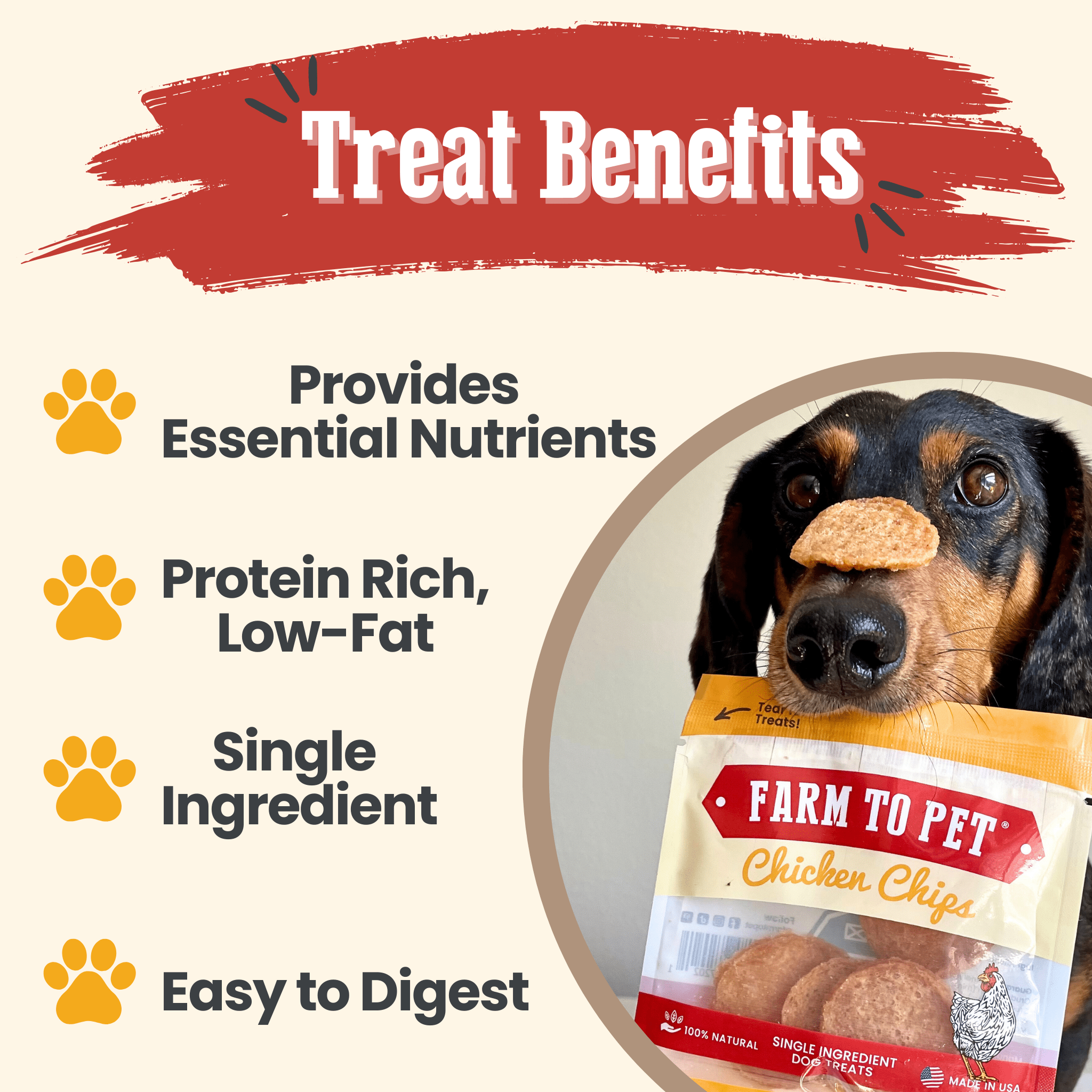 Chicken chips treat benefits graphic with Farm to Pet bag and dog close-up