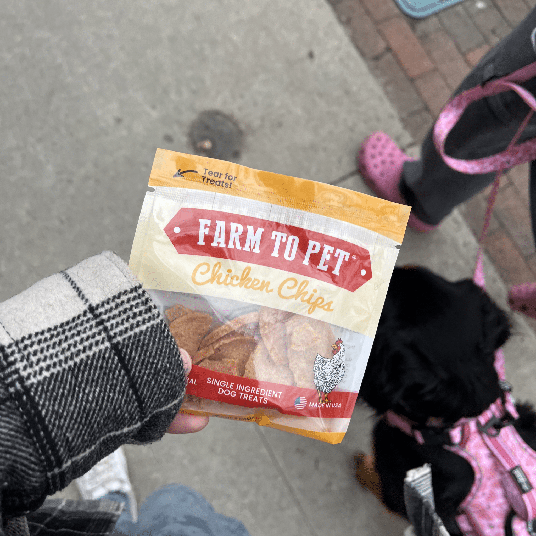 Chicken Chips dog treat pouch held by a person with a black dog nearby