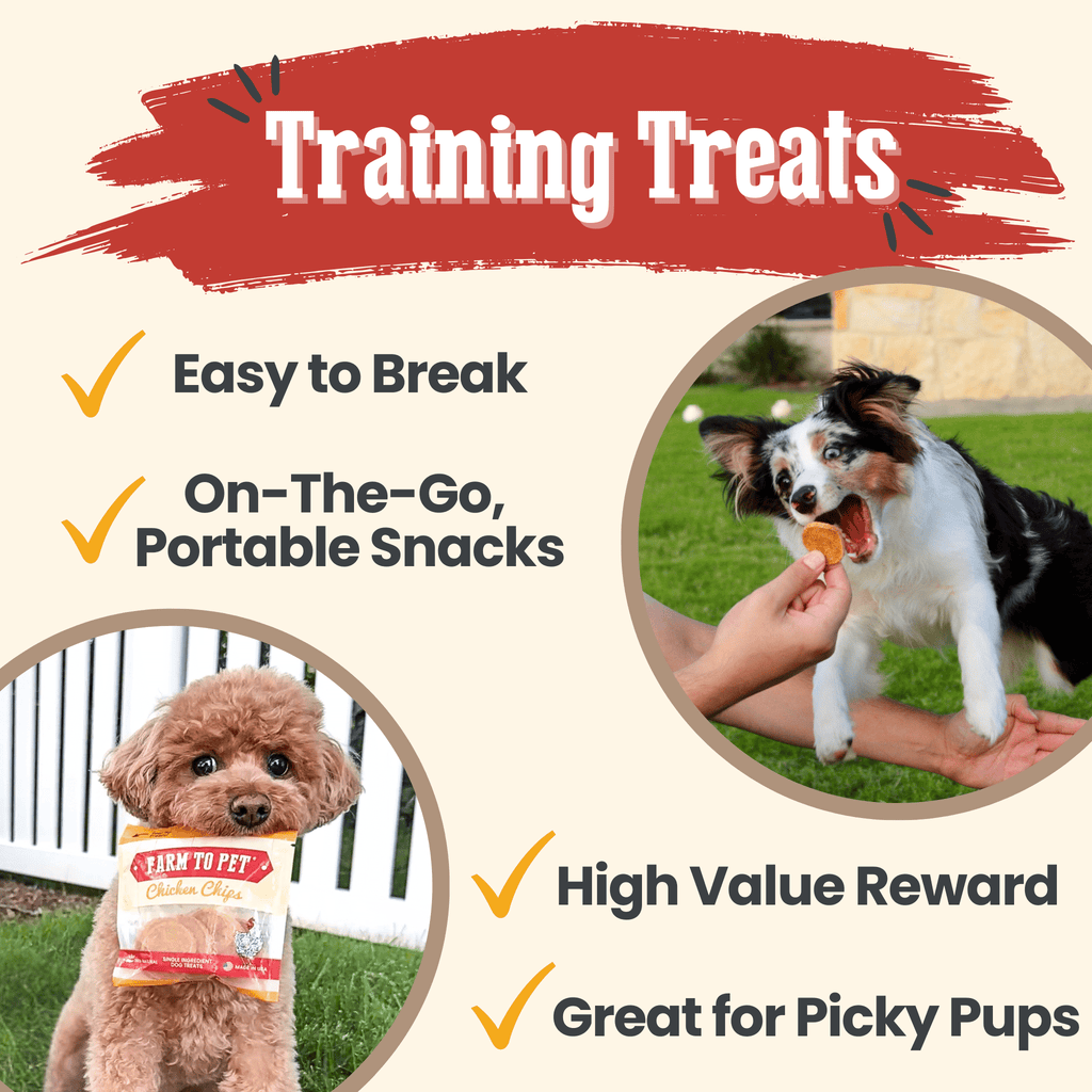 Chicken chips dog treat pouch with training treat bite pieces