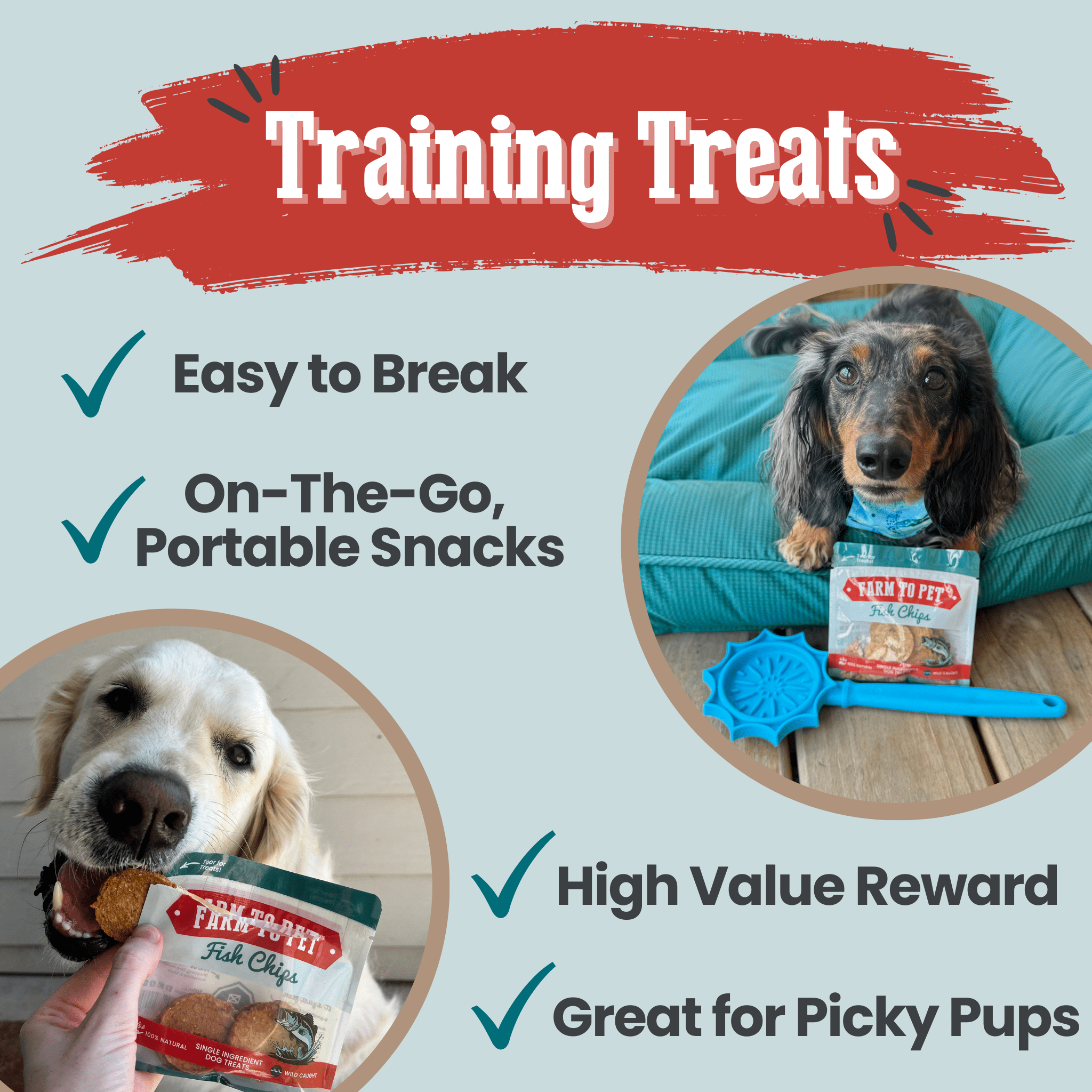 Dog with Fish Chips treat pouch, showcasing portable training snack benefits