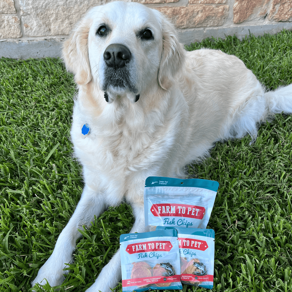 White dog lying on grass with a Fish Chips treat snack pack