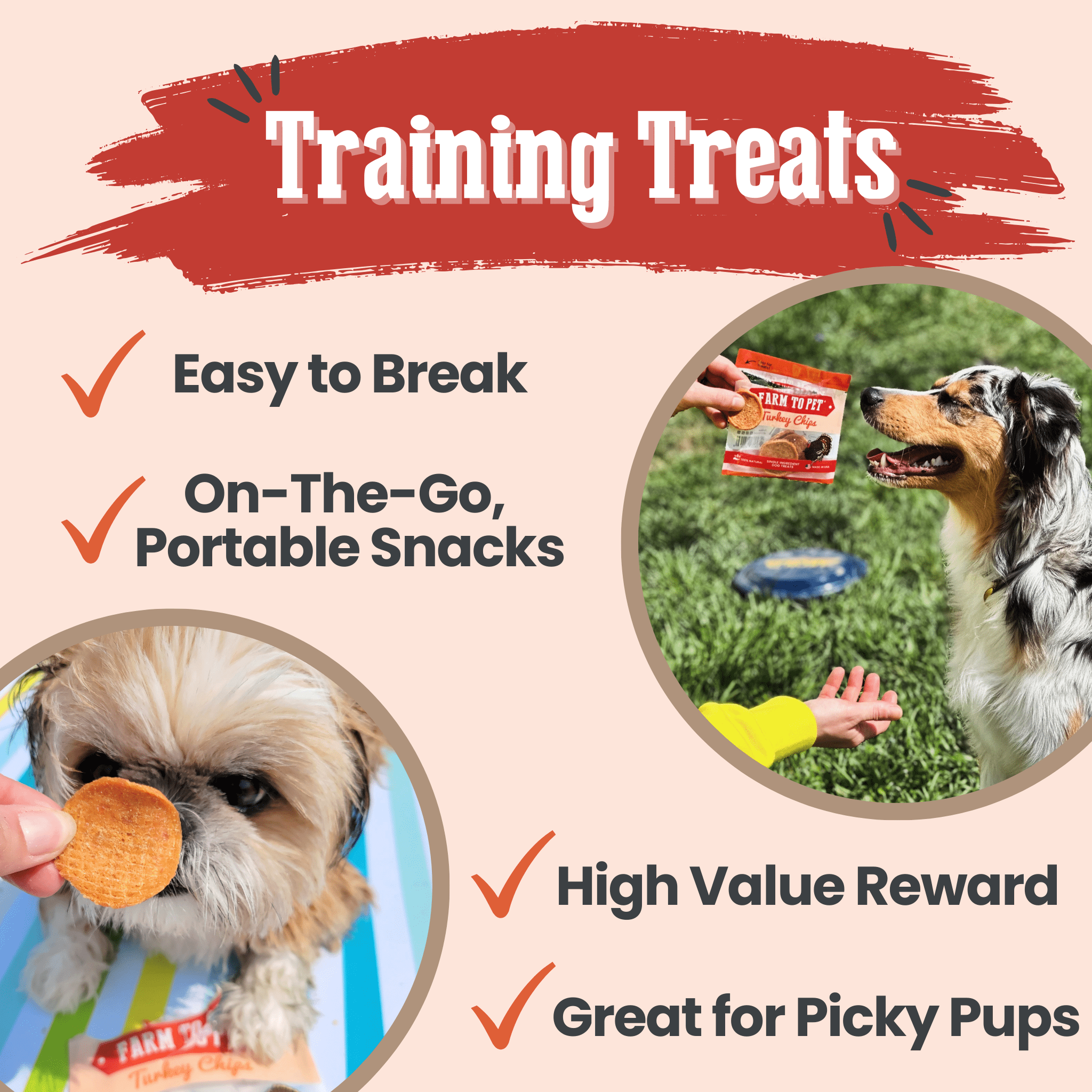 Training treats promotional graphic for Farm to Pet Turkey Chips with dogs
