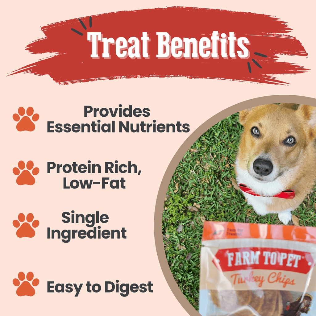 Turkey chips dog treat pouch in a snack pack bundle with dog beside it