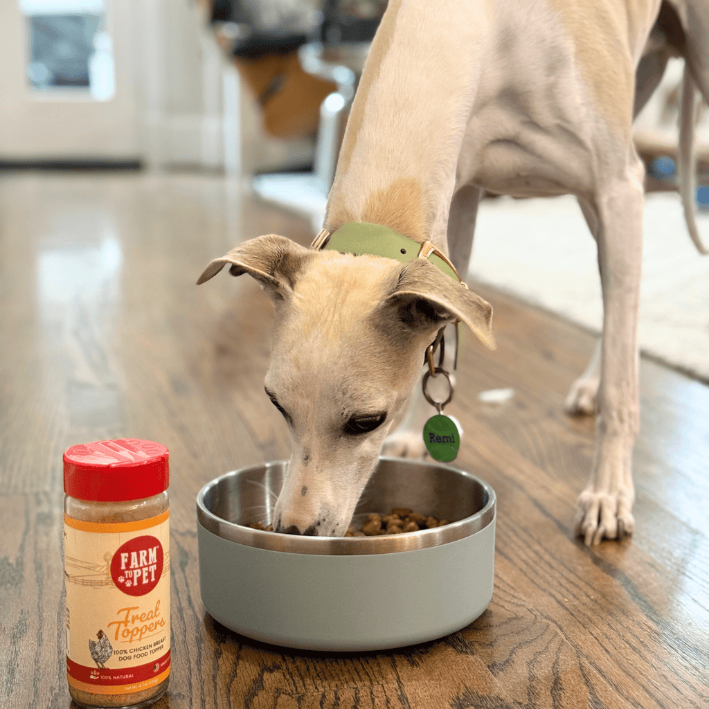 Dog eating from a metal bowl with chicken dog food topper jar nearby