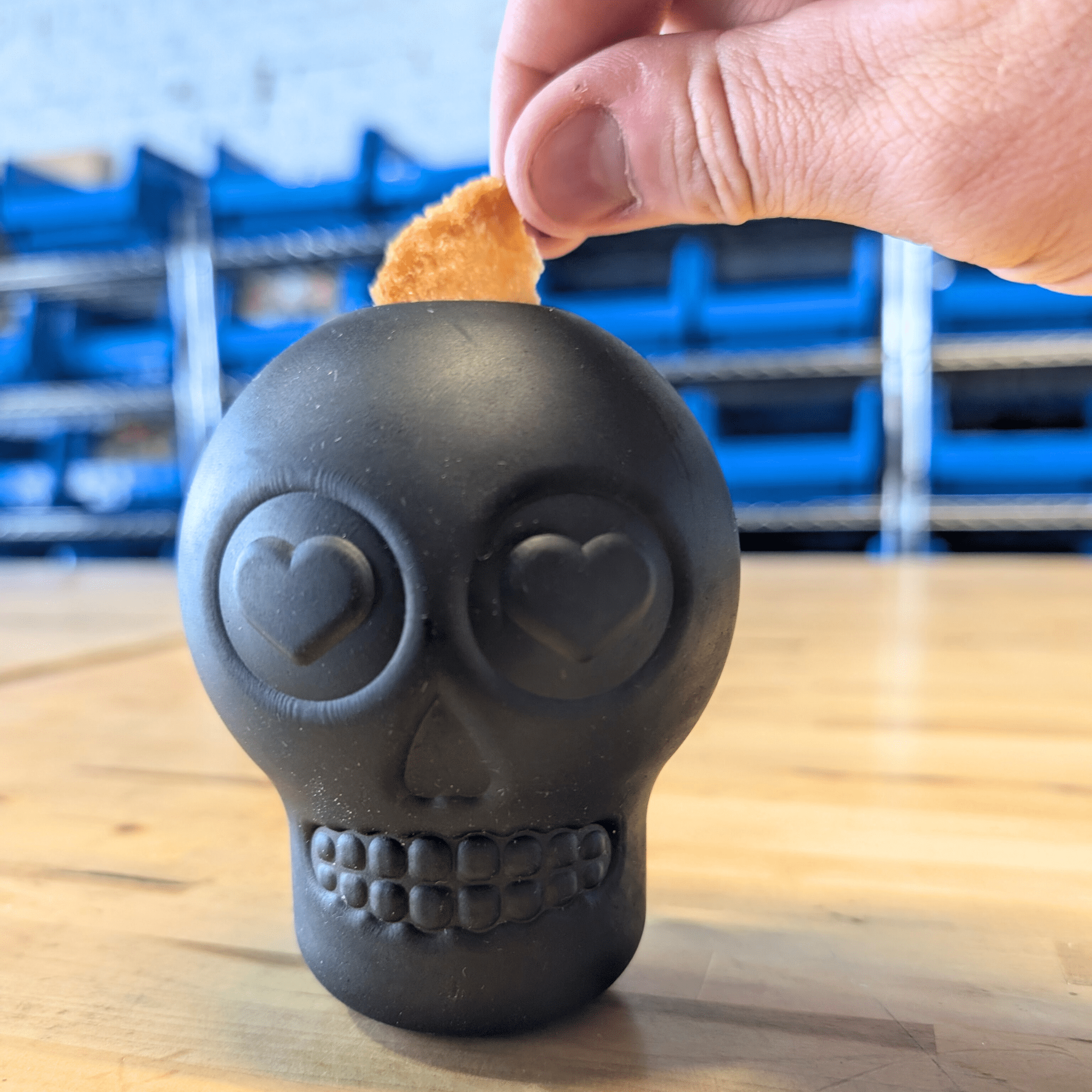 Skull-shaped dog treat dispenser on a wooden surface with a hand holding a treat.