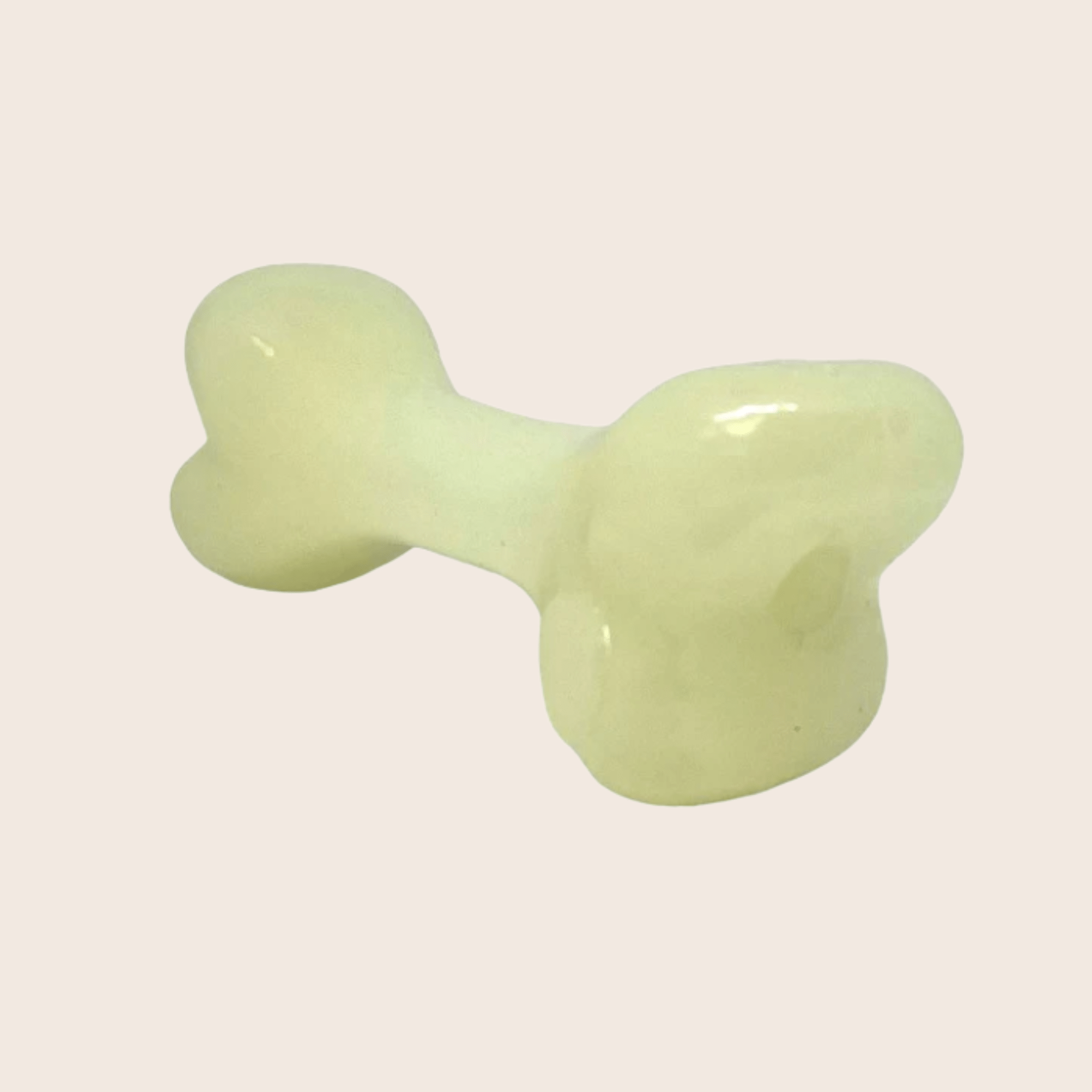 Dog treat dispenser bone, pale green glossy chew-toy style