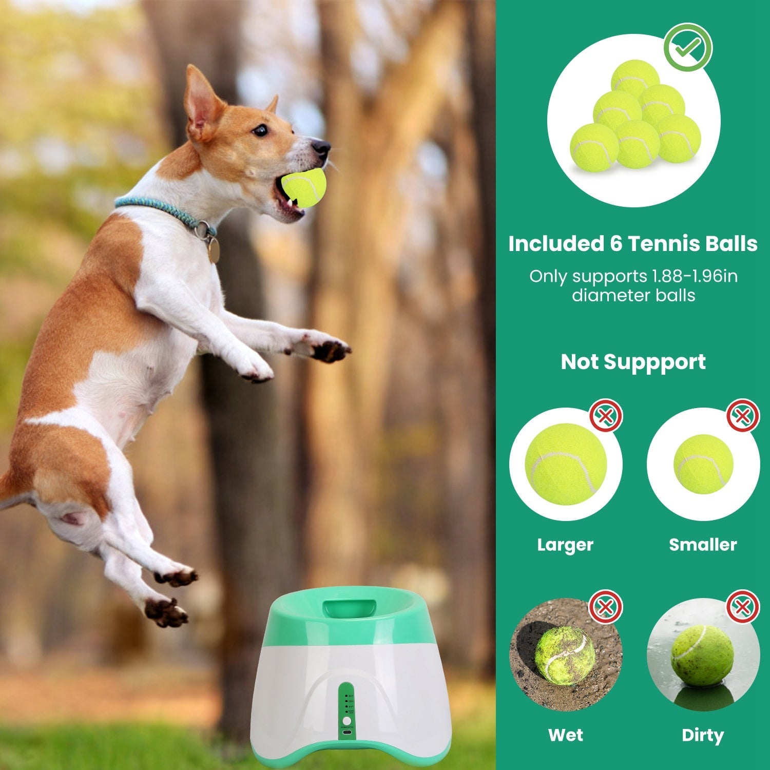 Automatic dog ball launcher with tennis balls included and dog playing outdoors