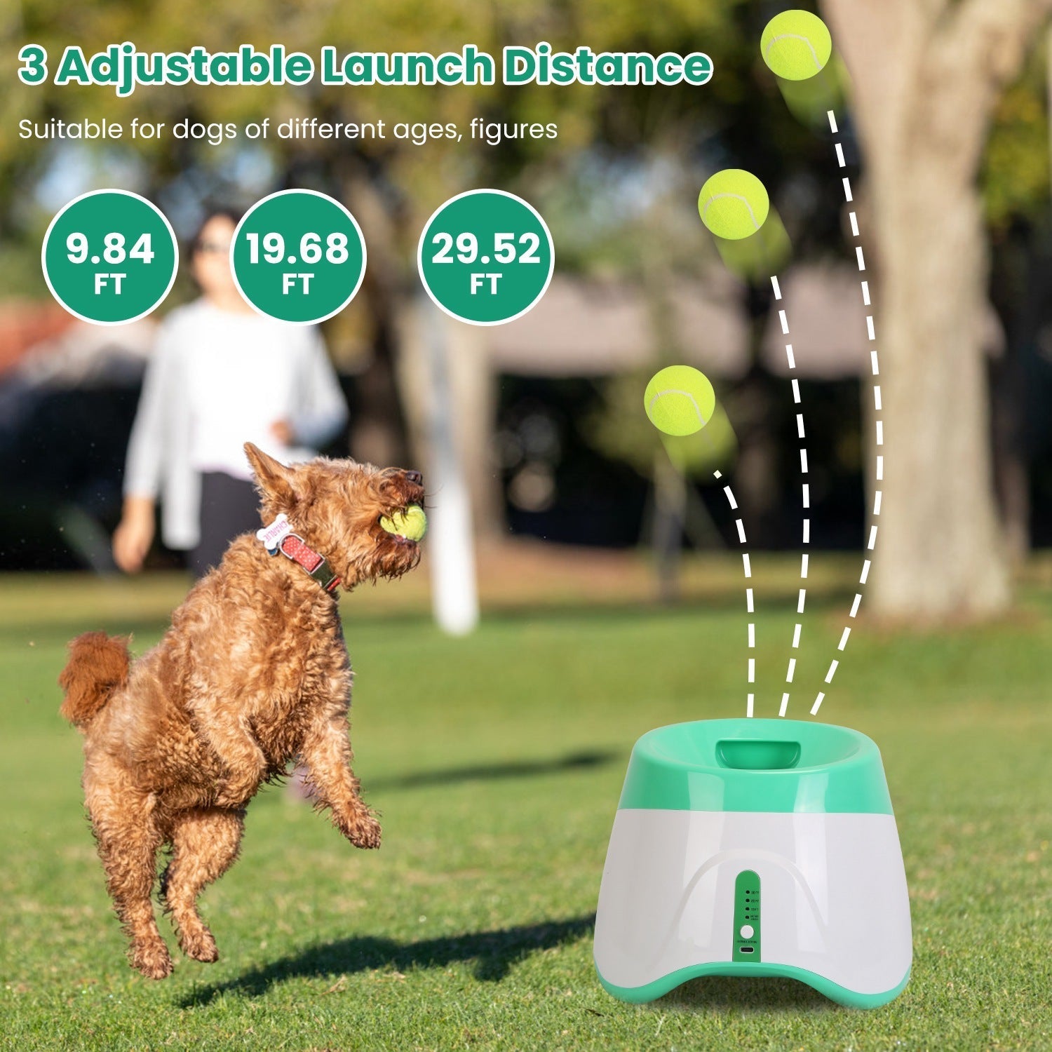 Automatic dog ball launcher with adjustable launch distance settings and tennis balls