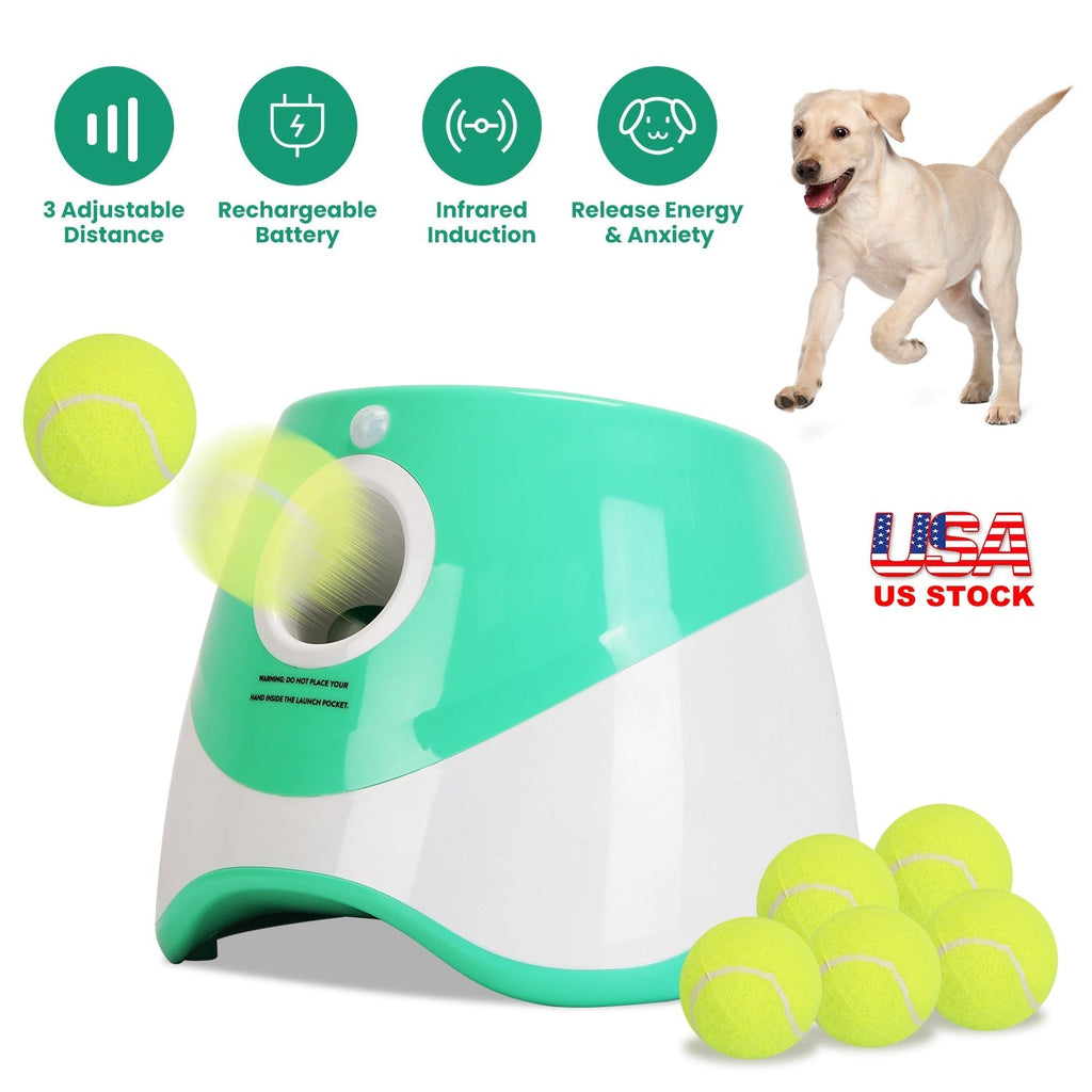 Automatic dog ball launcher with tennis balls and top indicator icons overhead