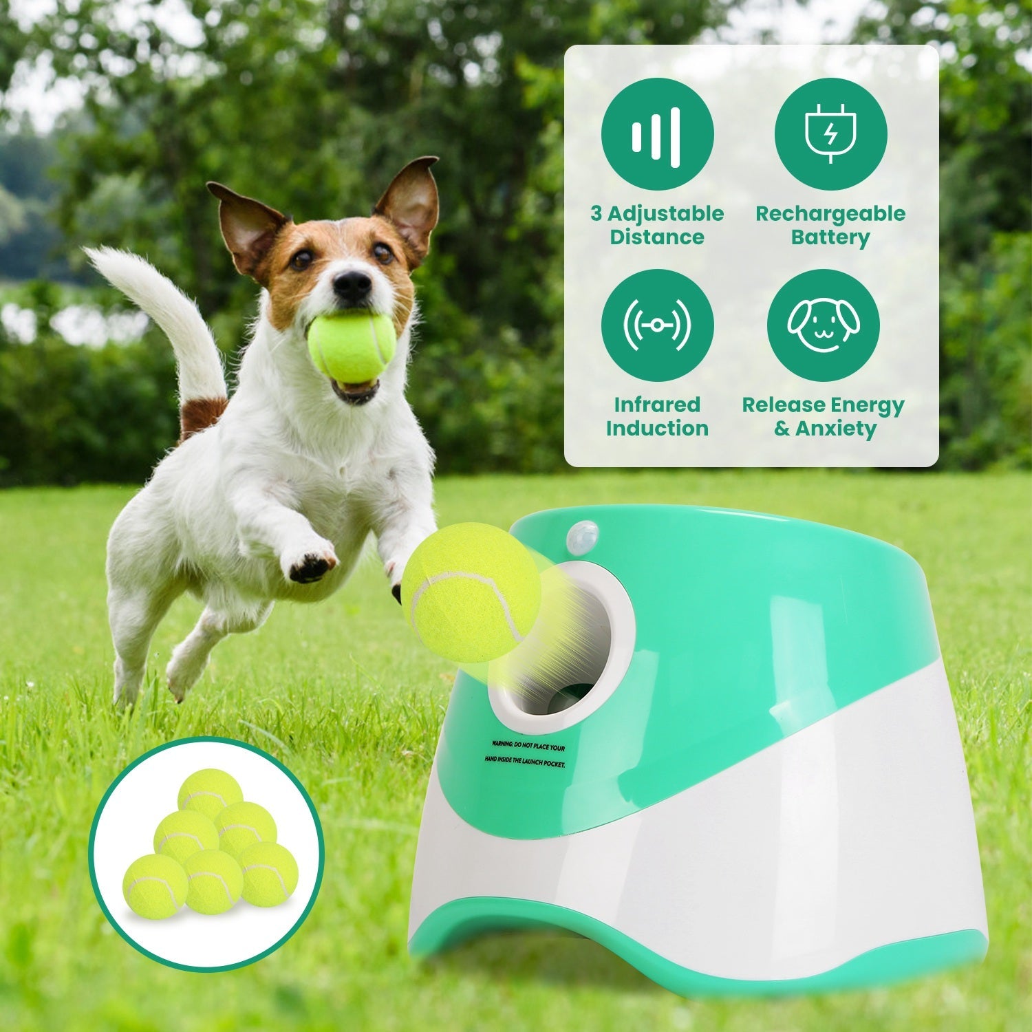 Automatic dog ball launcher with tennis balls and dog holding a ball outdoors