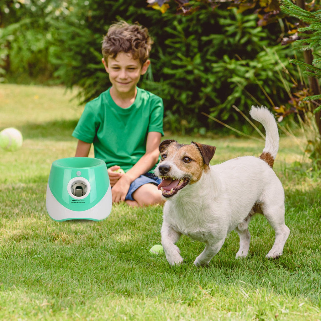 Automatic dog ball launcher on grass, green-and-white with circular ball opening
