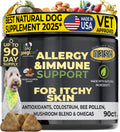 Dog allergy and immune support chew supplement jar, coconut and carob flavor