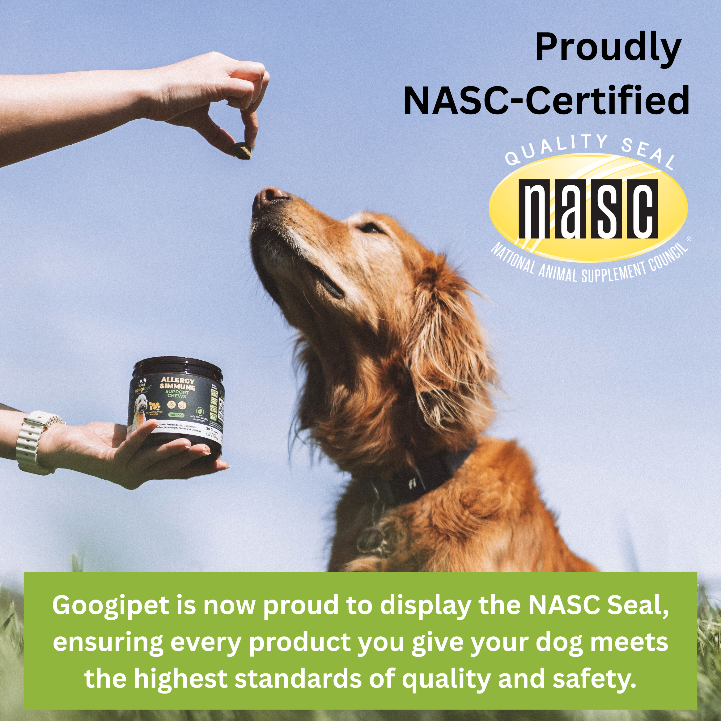 Dog reaching toward allergy and immune support chew jar, Nasc-certified badge