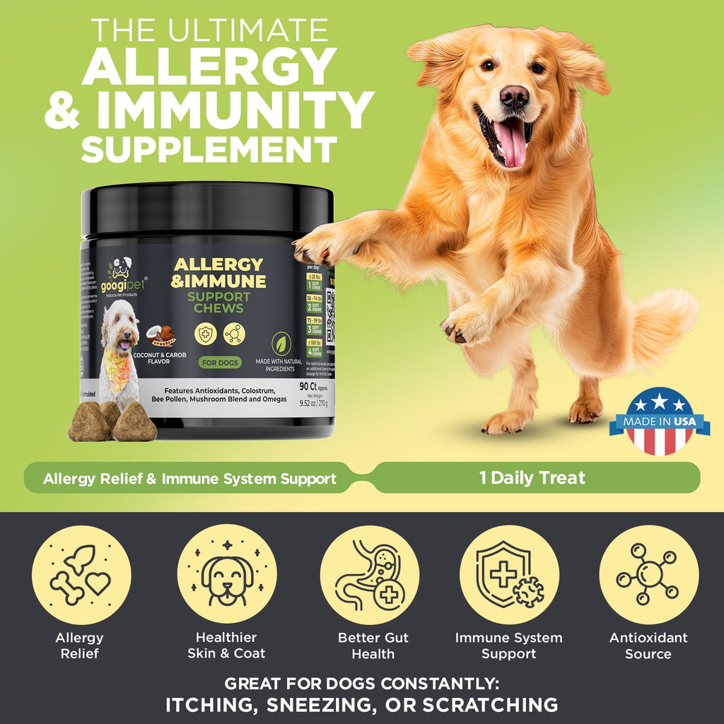 Golden dog with allergy and immune support chew jar for itchy skin