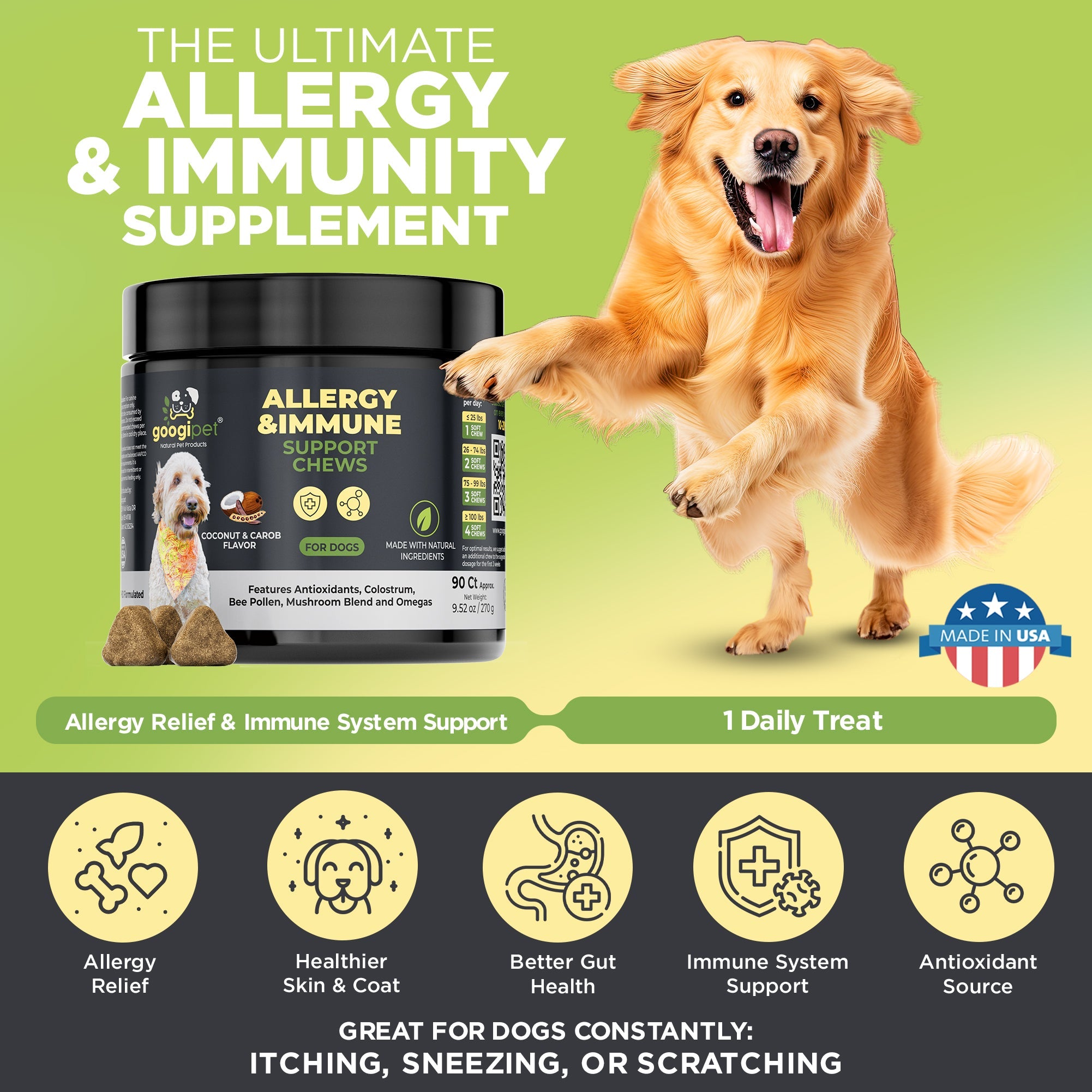 Golden dog with allergy and immune support chew jar for itchy skin