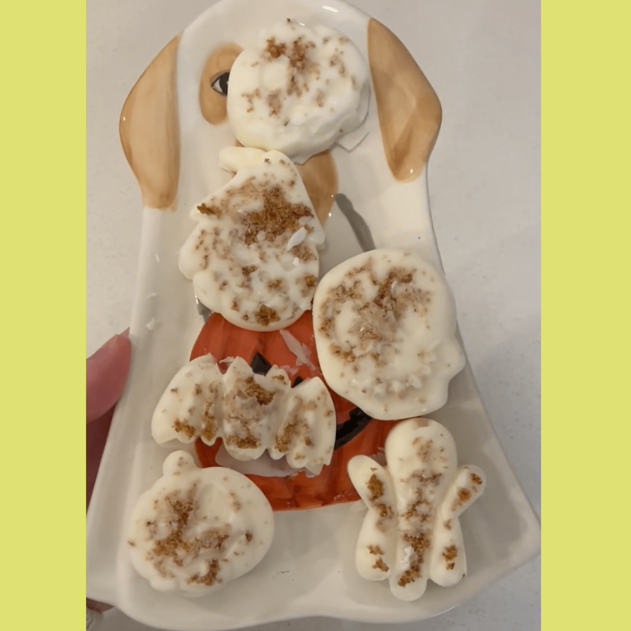Silicone Pet Treat Molds