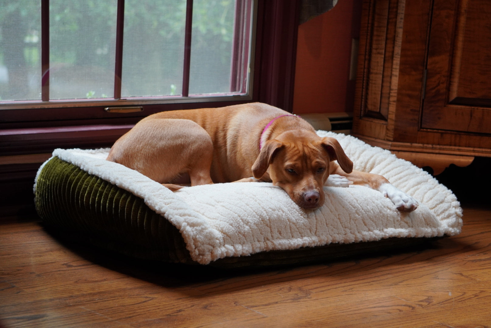 Beige sherpa bolster dog bed with quilted top and supportive ribbed side wall