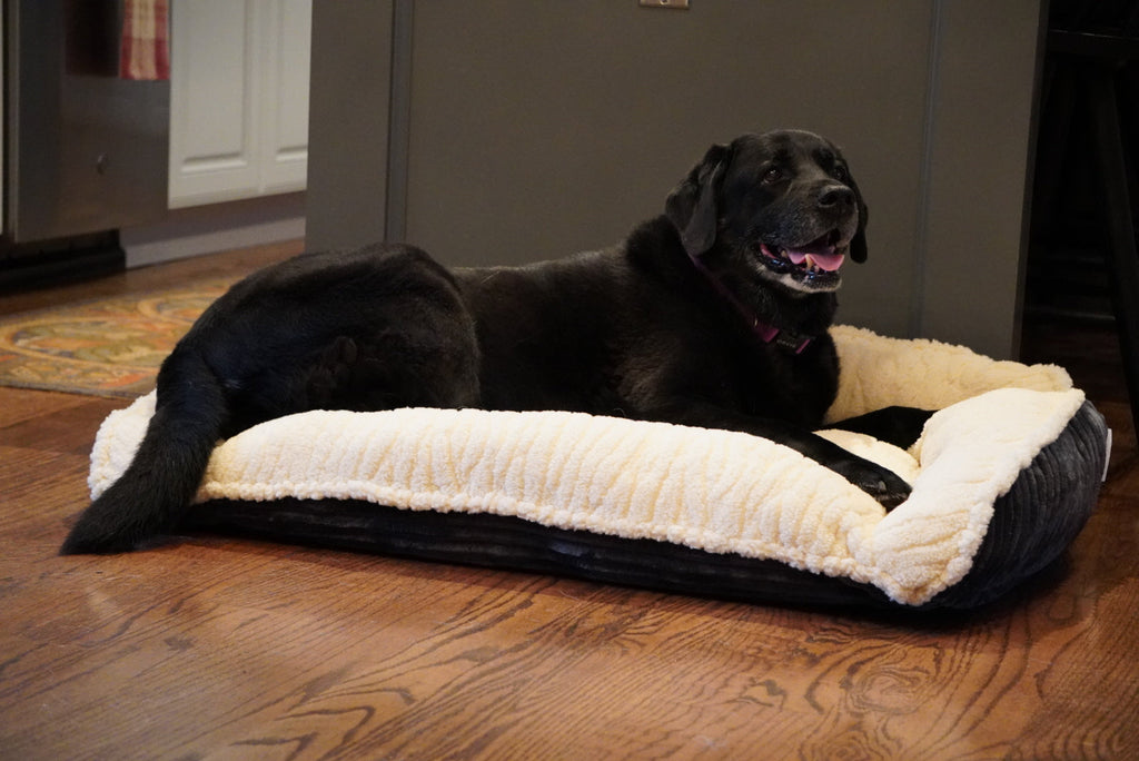 Dark bolster dog bed with white plush cover and wide flat sleeping pad